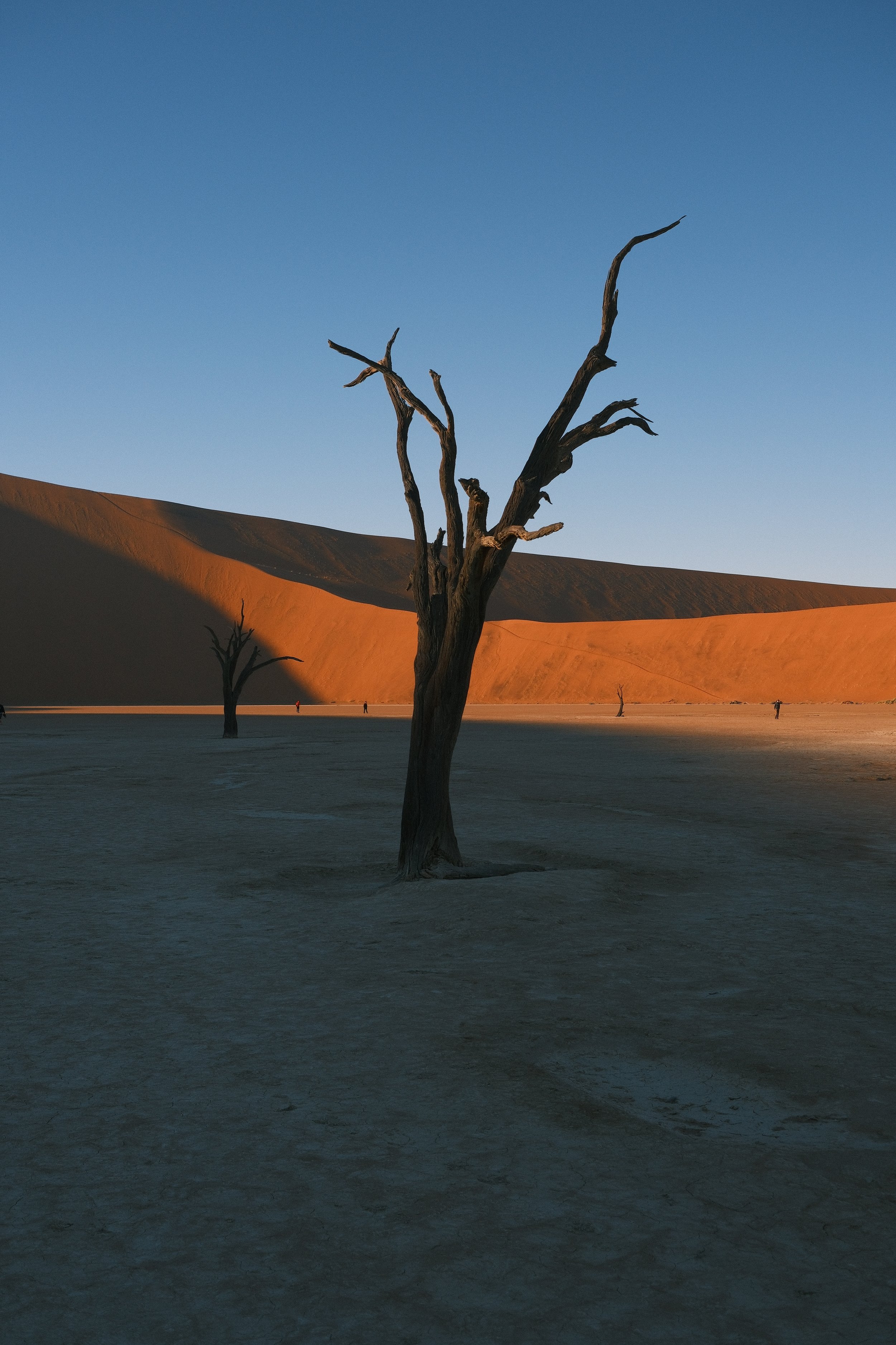 DSCF1588.JPG