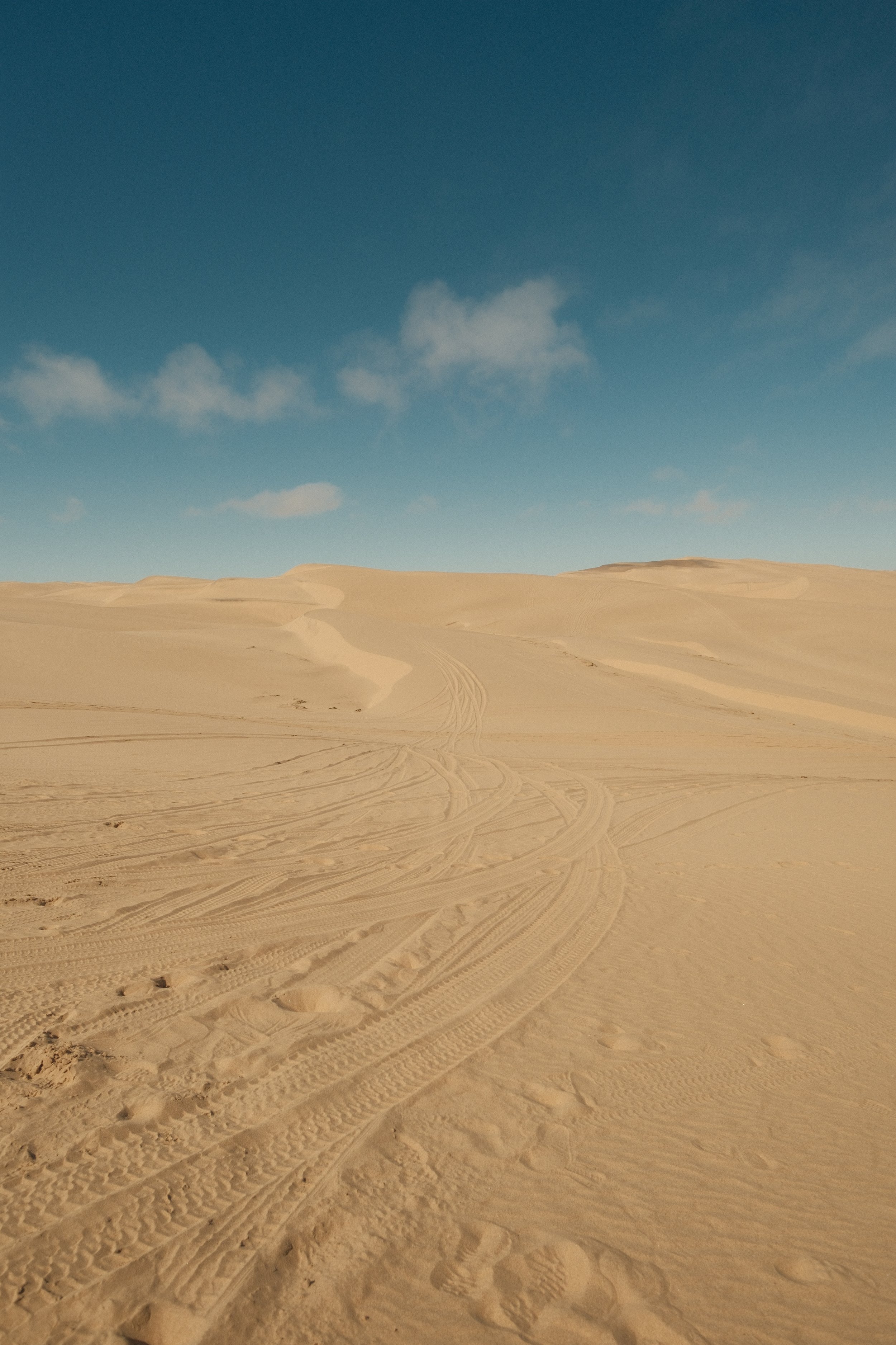DSCF1622.JPG