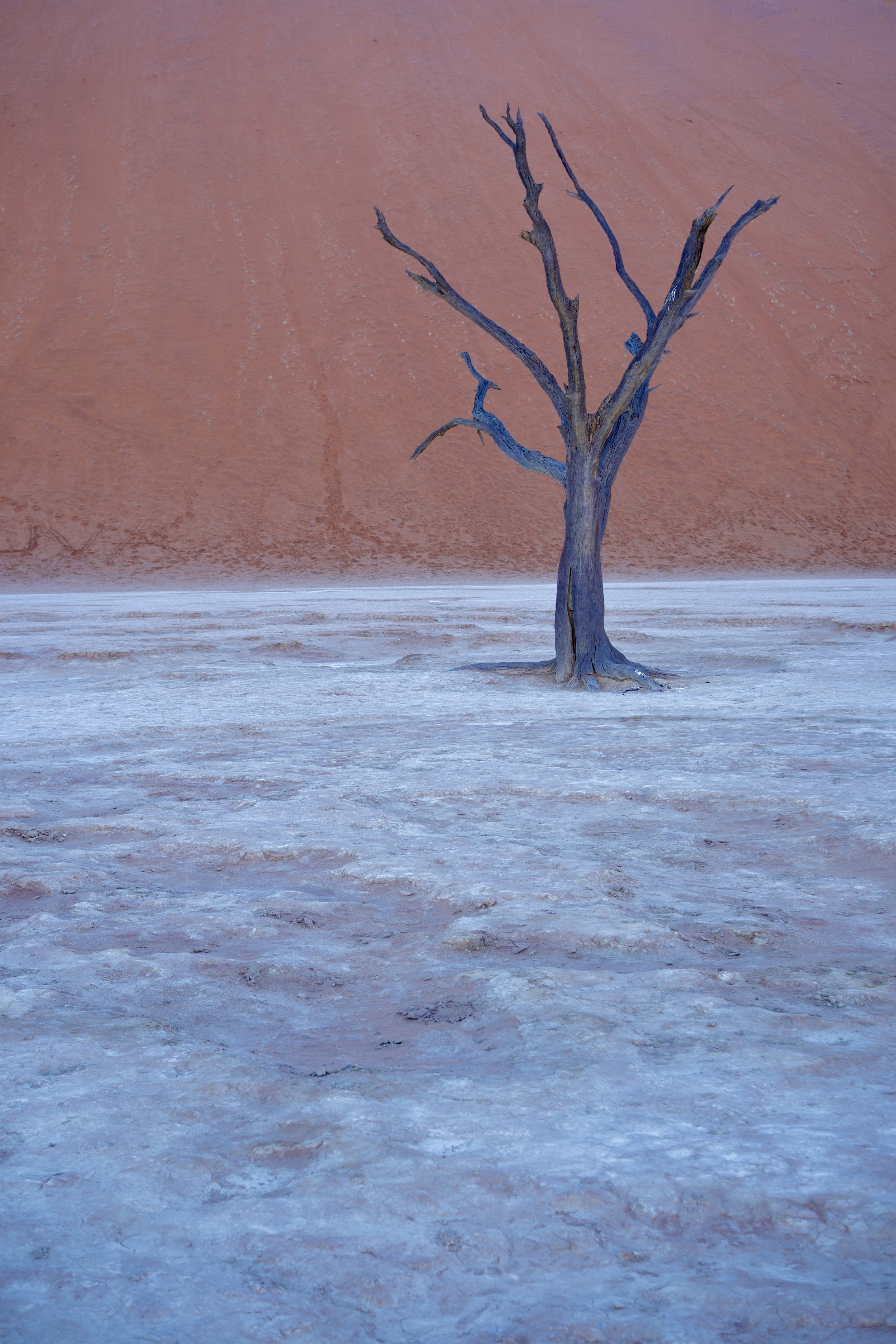 DSCF1572.jpg