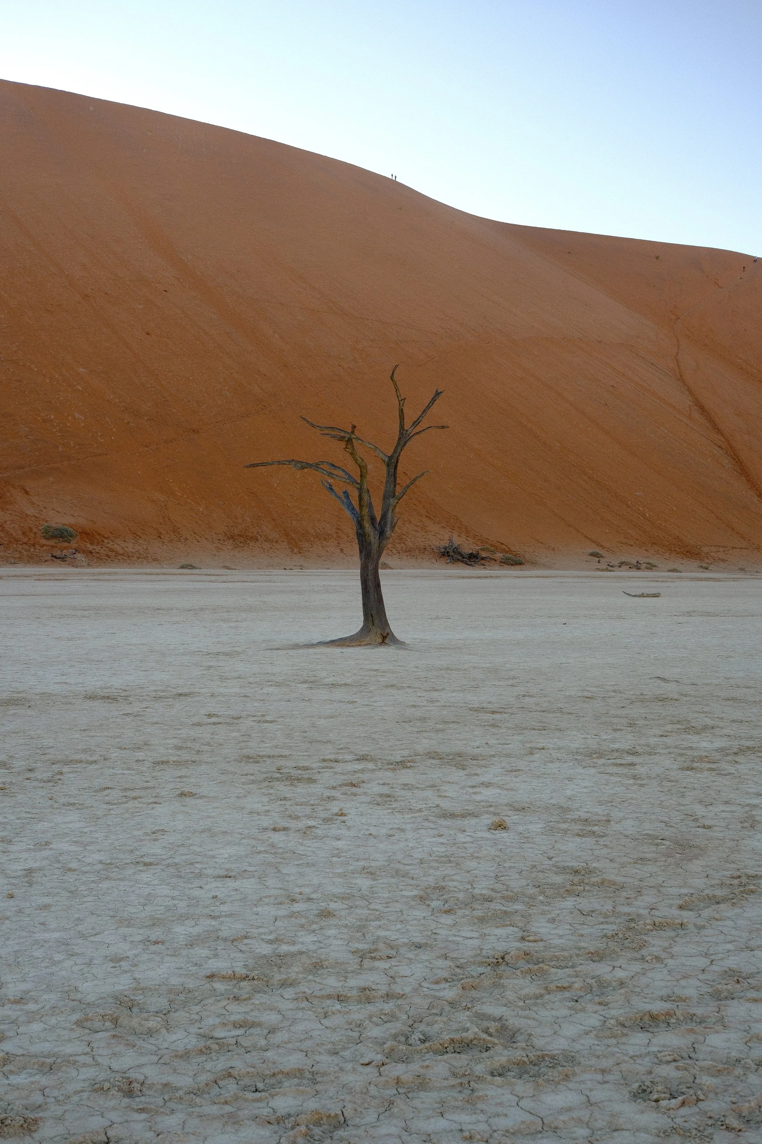 DSCF1570 3.jpg