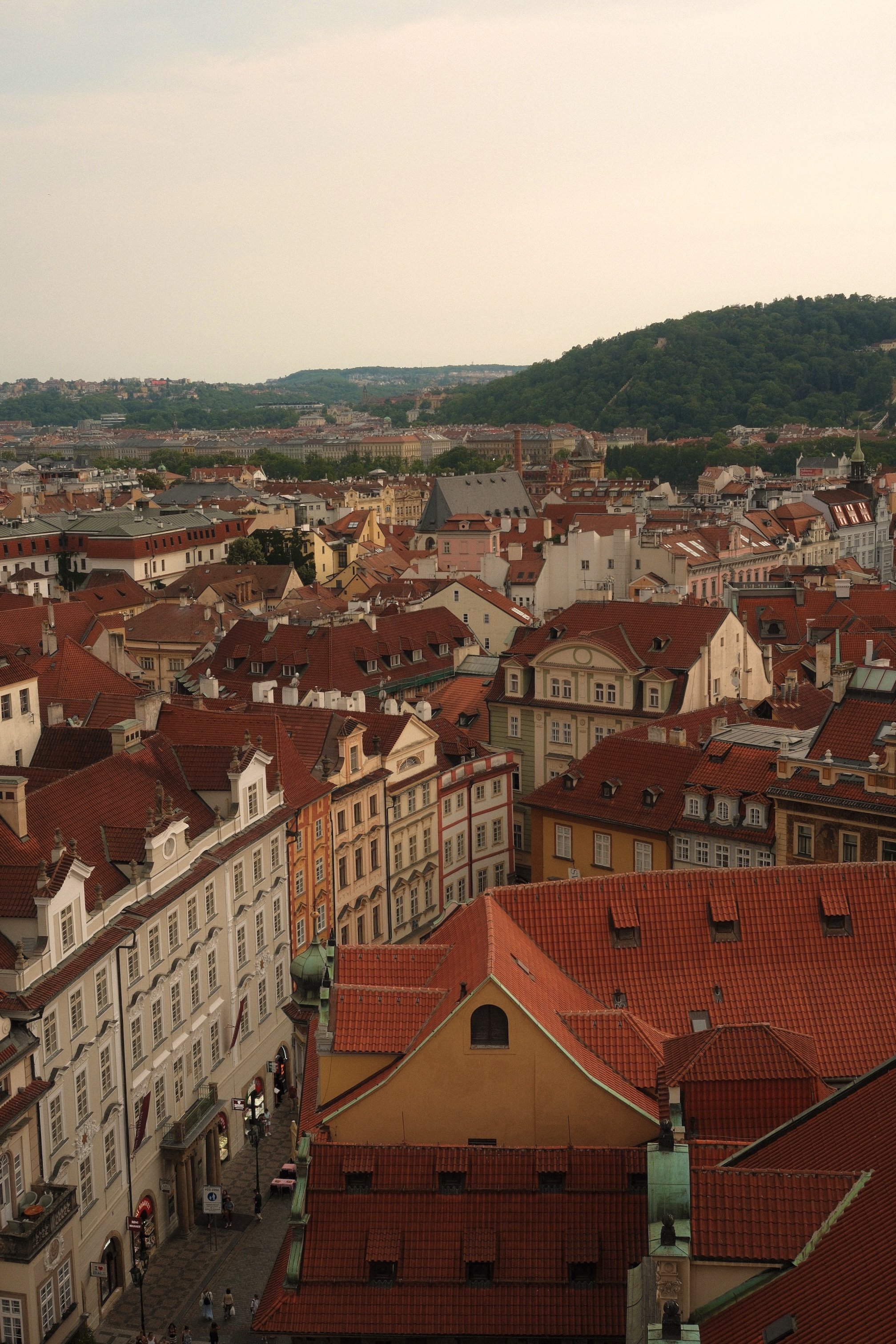 DSCF0268.jpg