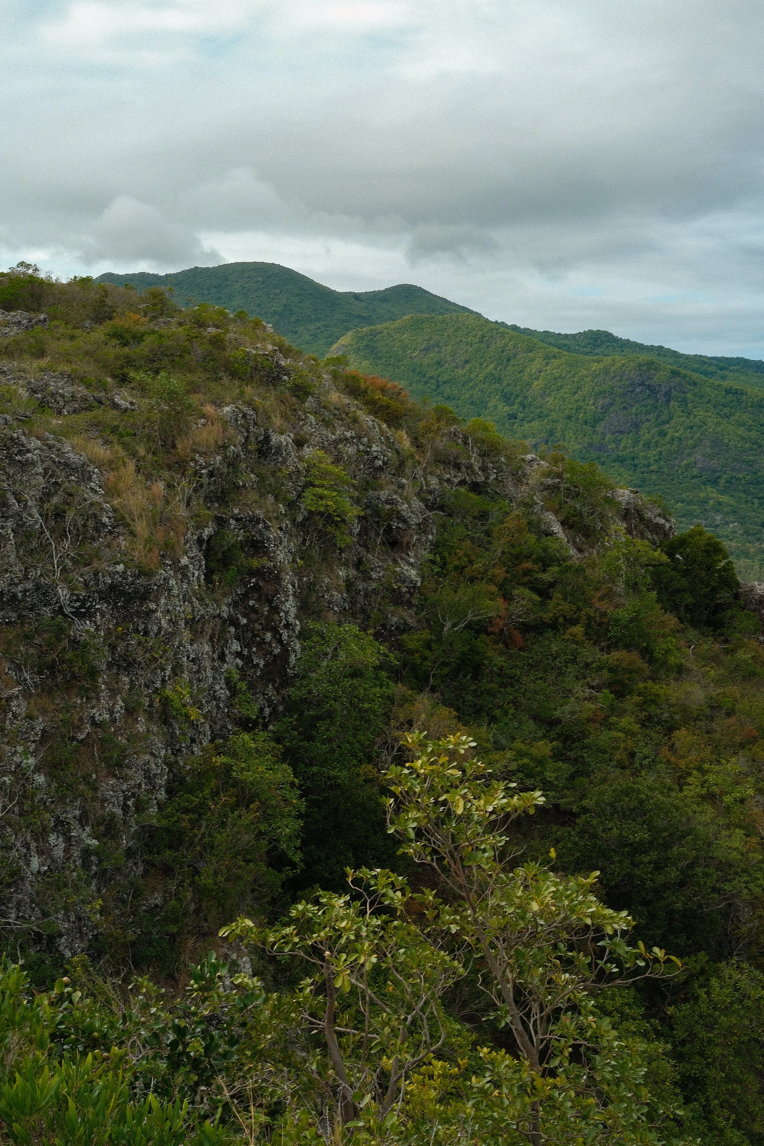 DSCF0882.JPG