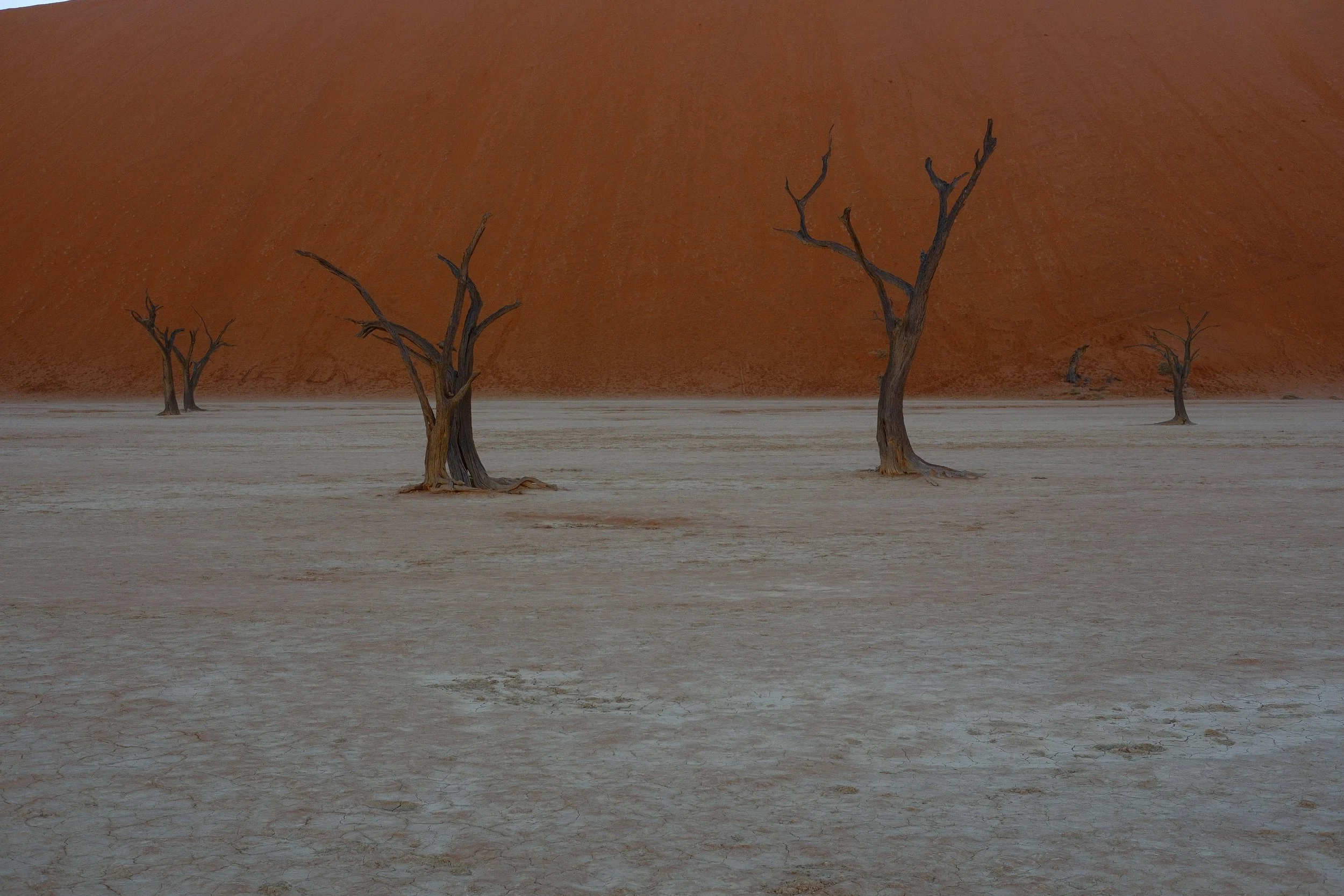 DSCF1583.JPG