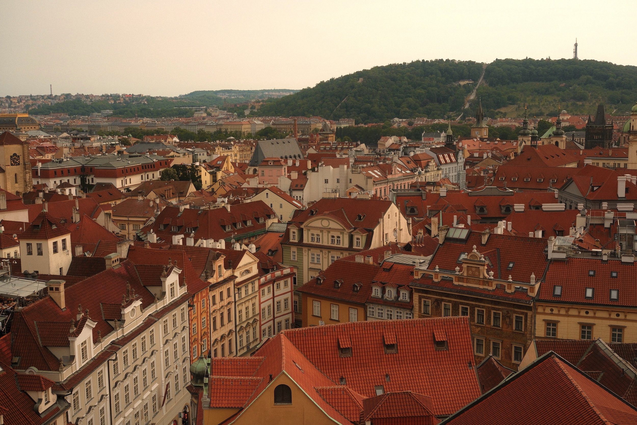 DSCF0269.jpg
