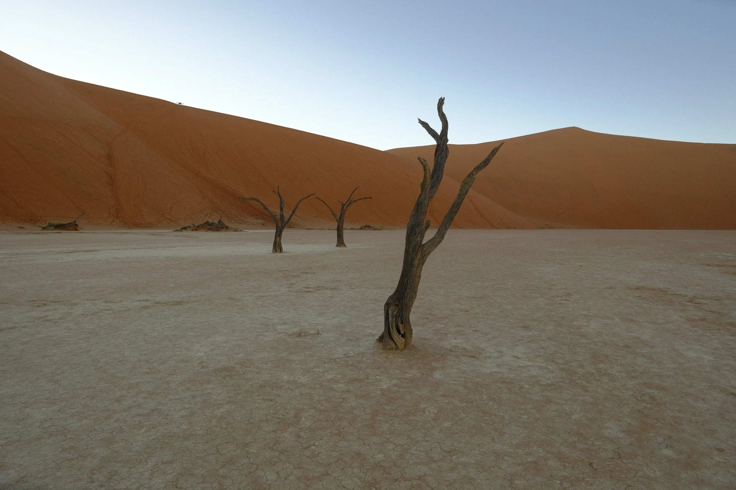 DSCF1560.jpg