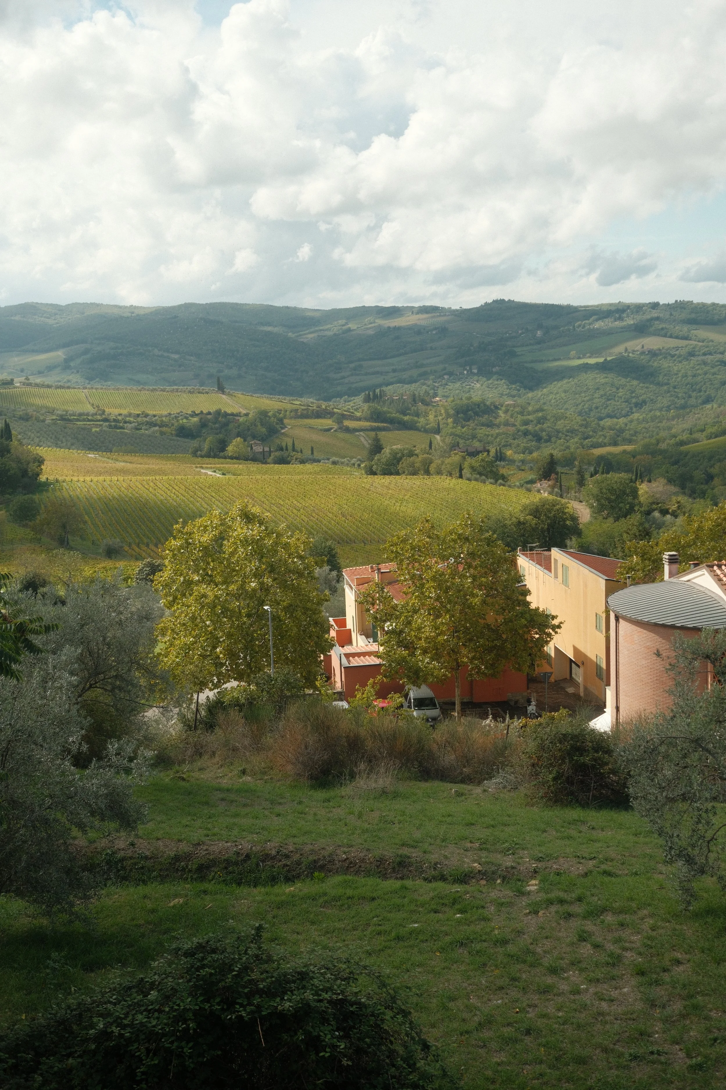 DSCF1920 2.JPG