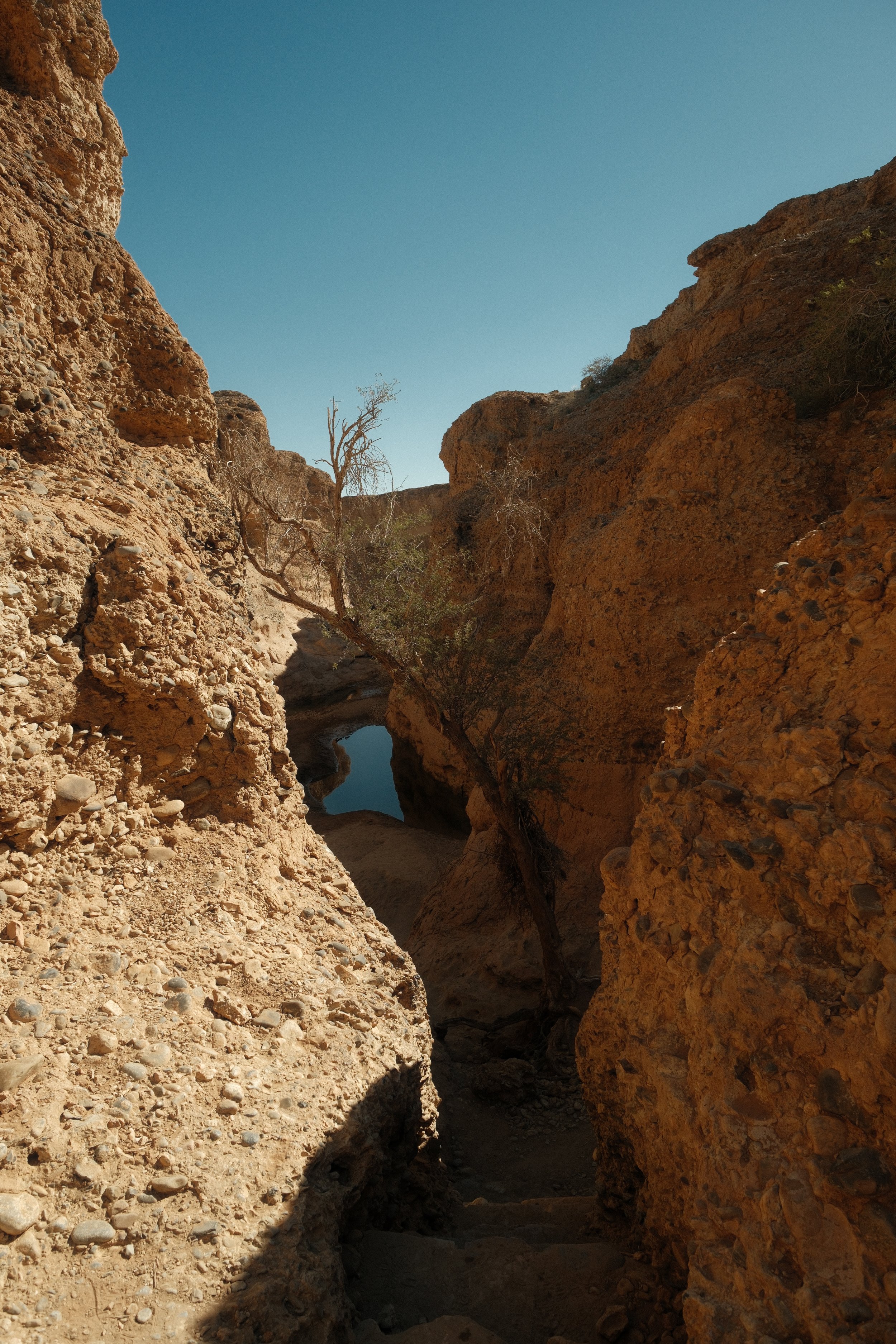 DSCF1374 2.JPG