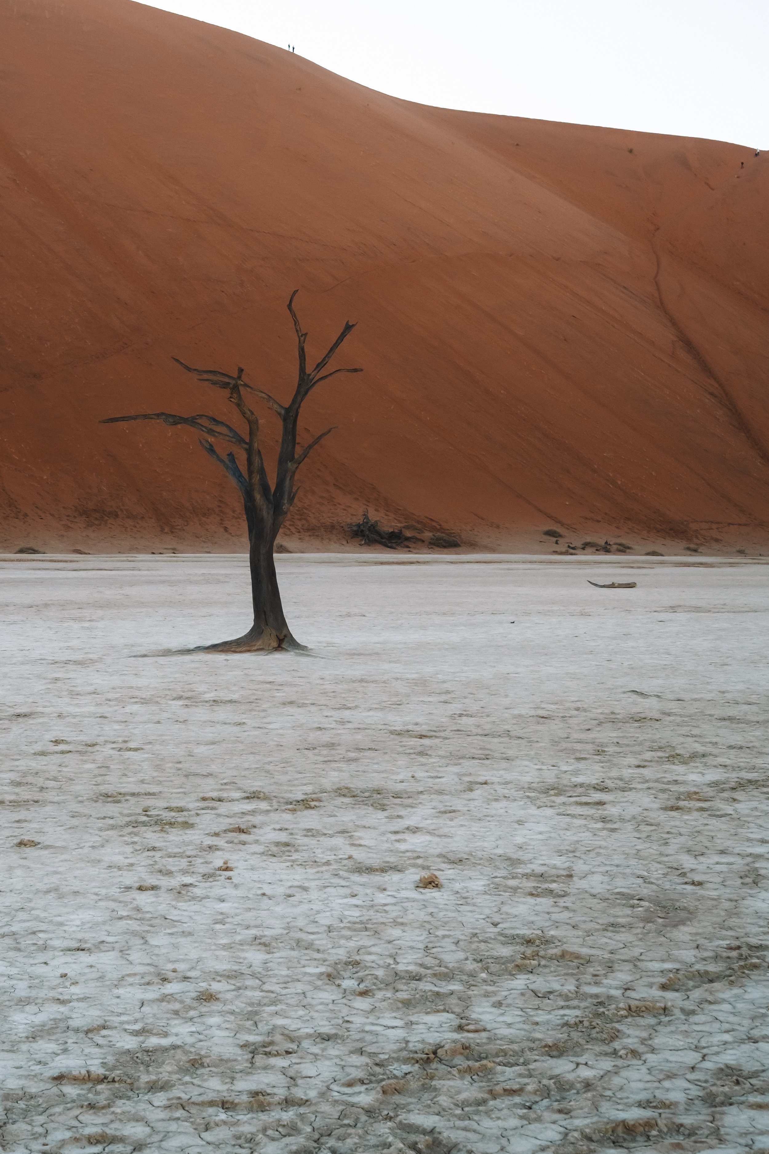 DSCF1570.jpg