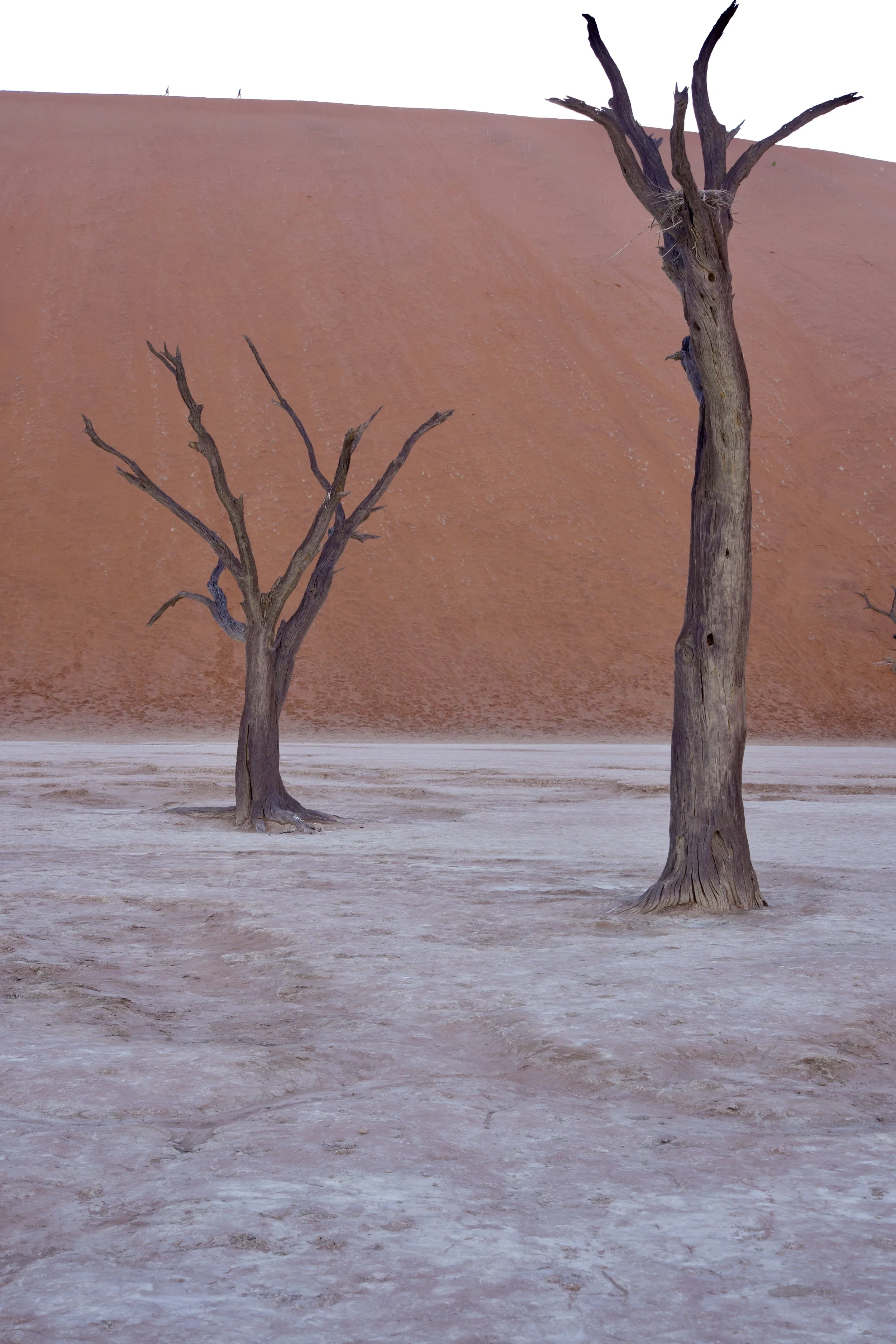 DSCF1571.jpg