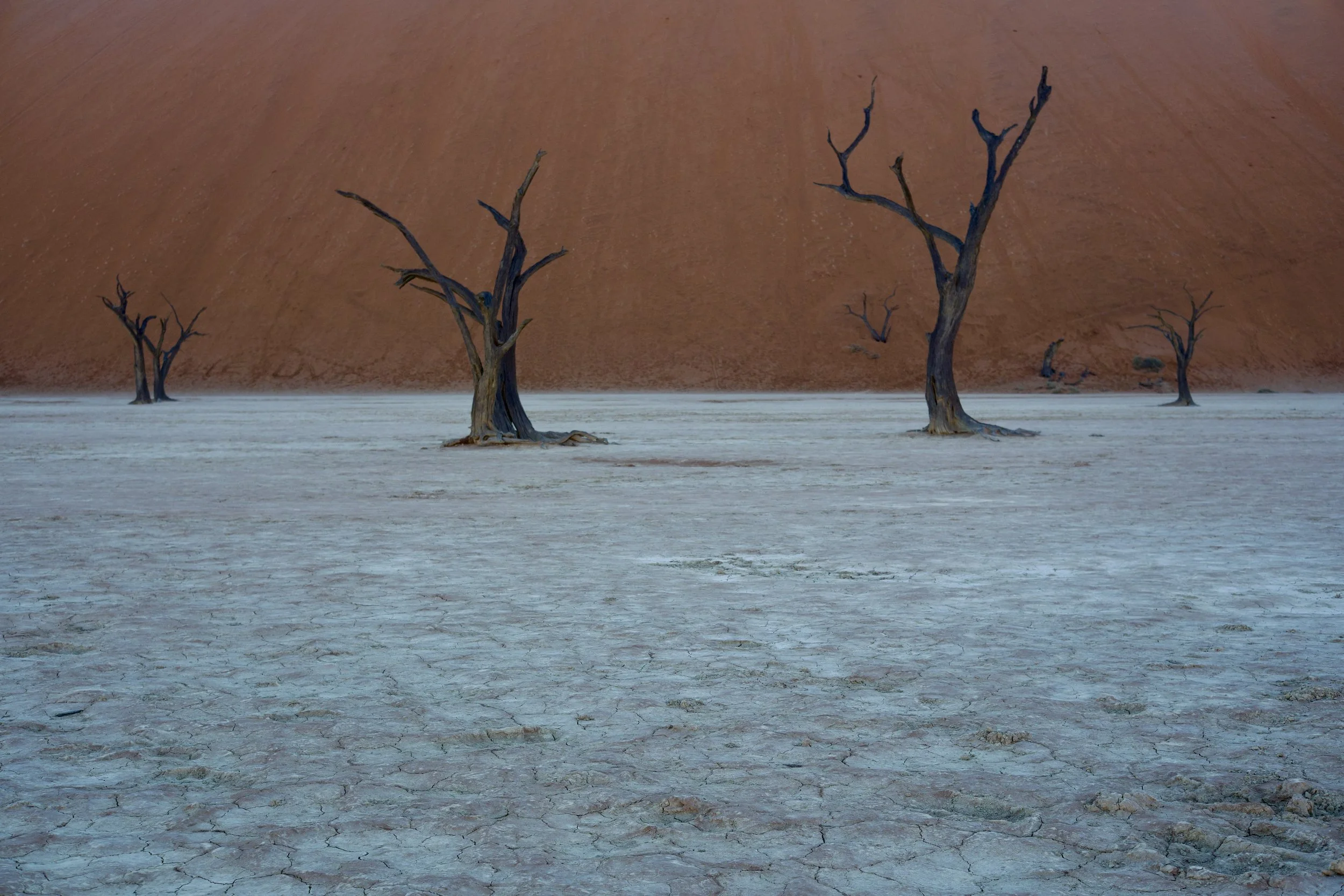DSCF1584.jpg