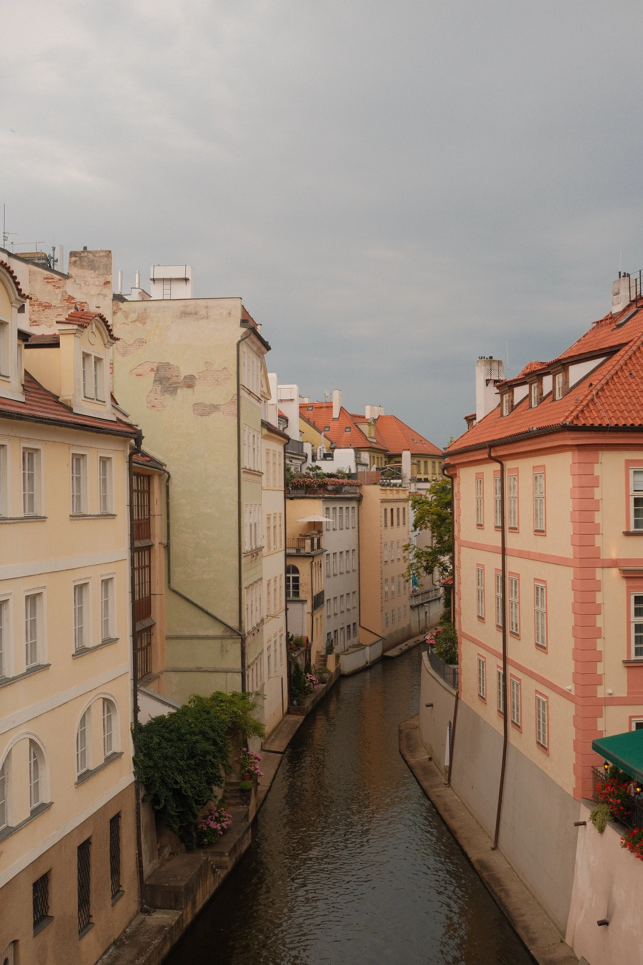 DSCF0317.JPG