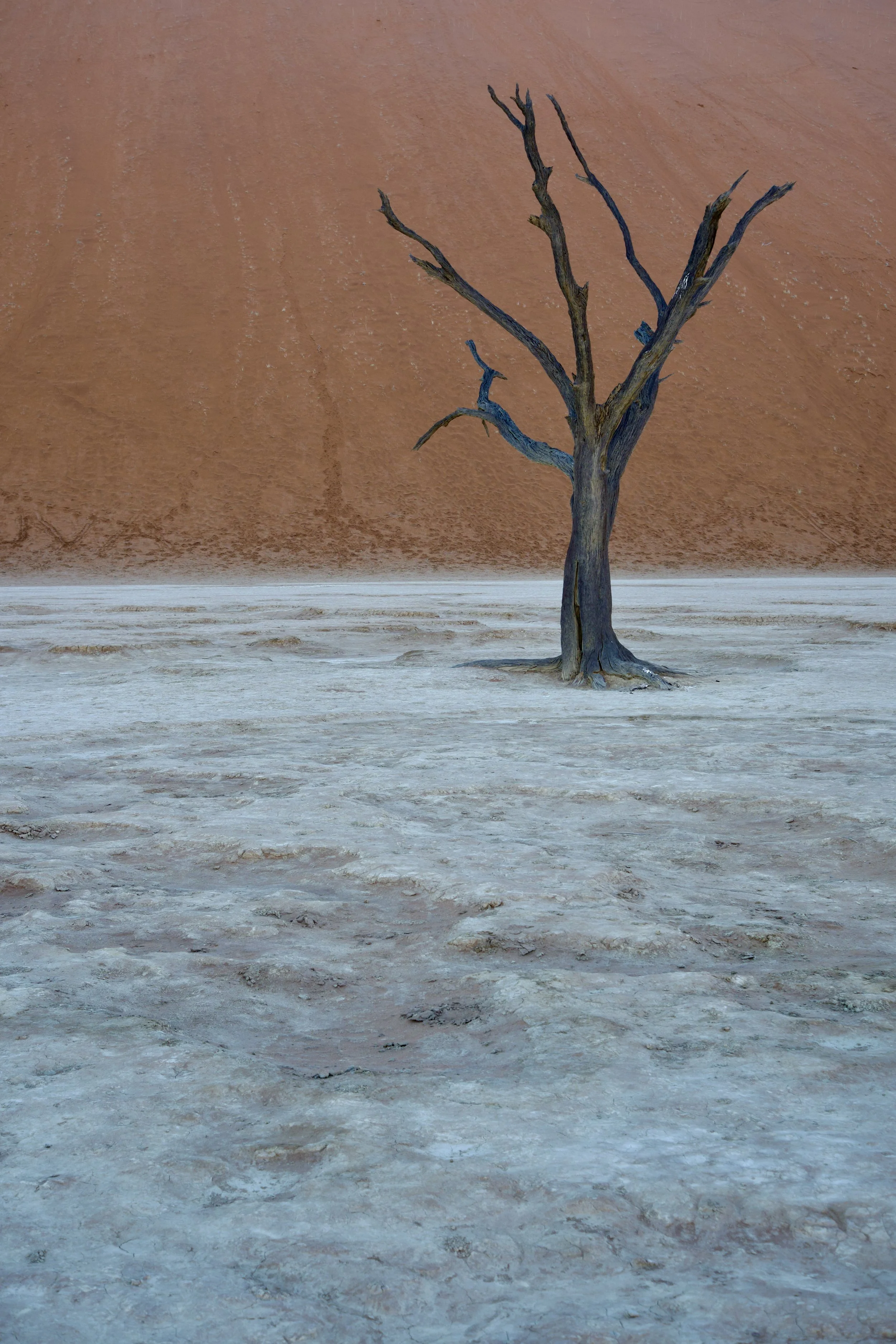DSCF1573.jpg
