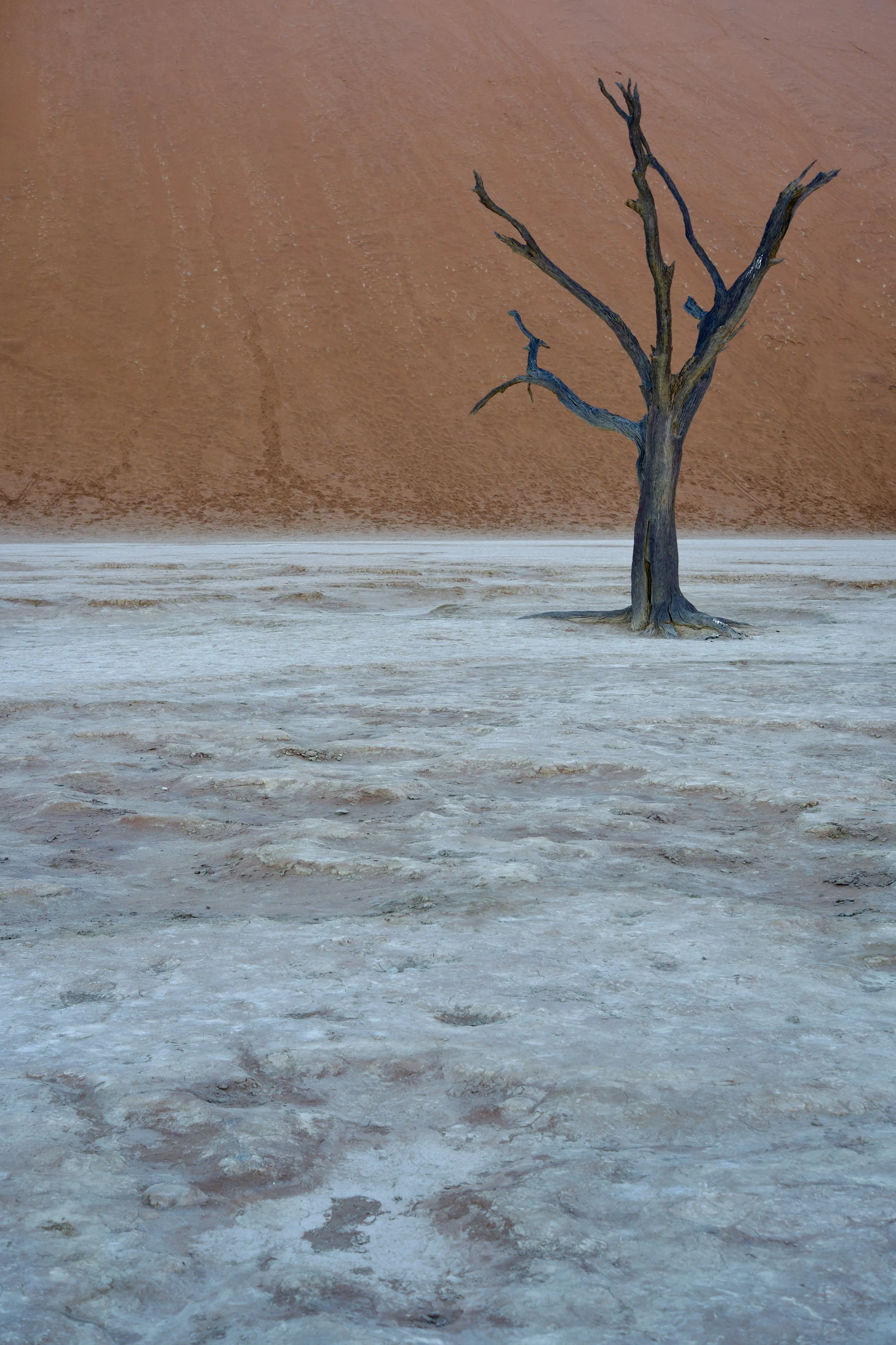 DSCF1574.jpg