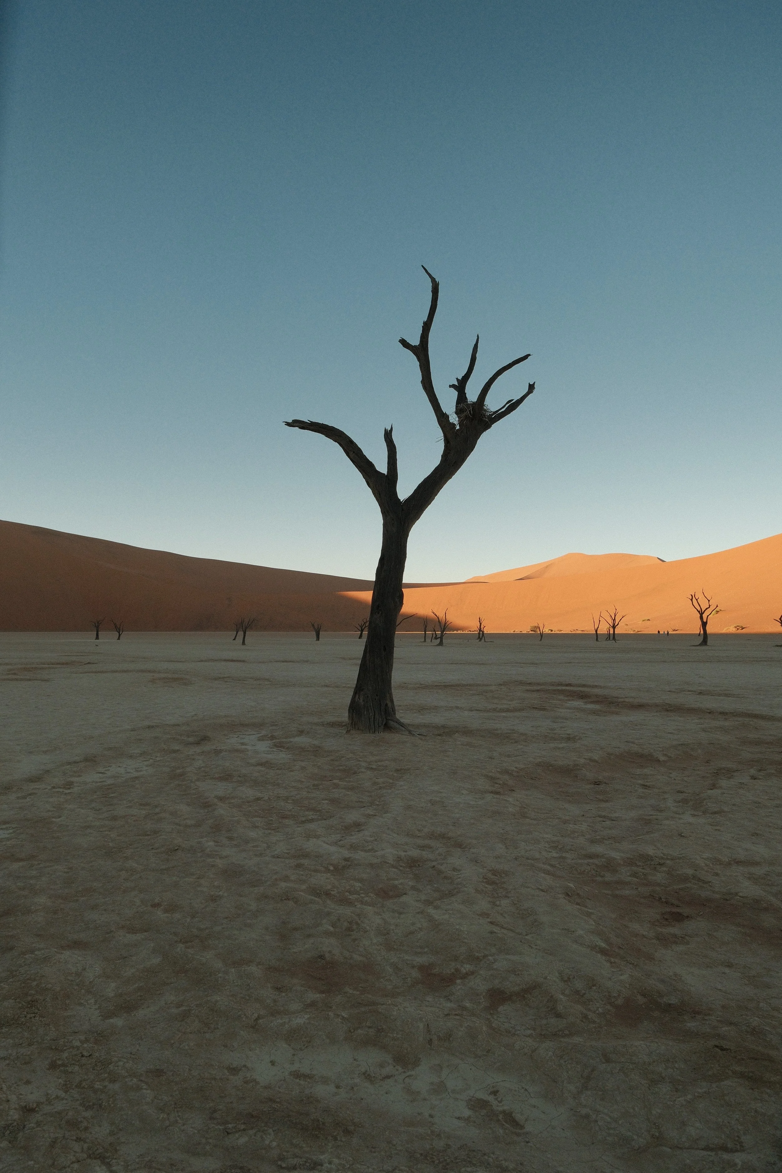 DSCF1551.jpg