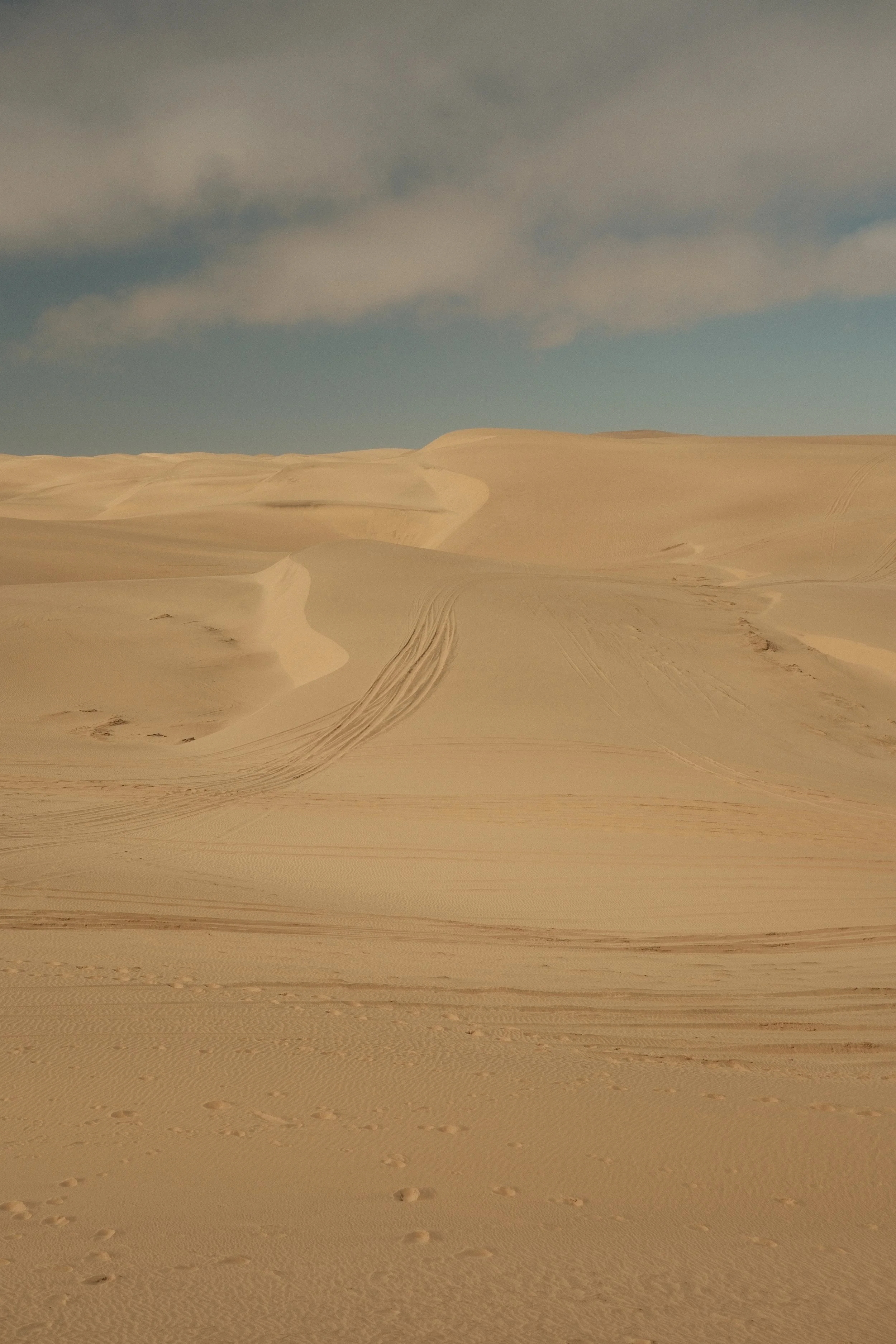 DSCF1641.JPG