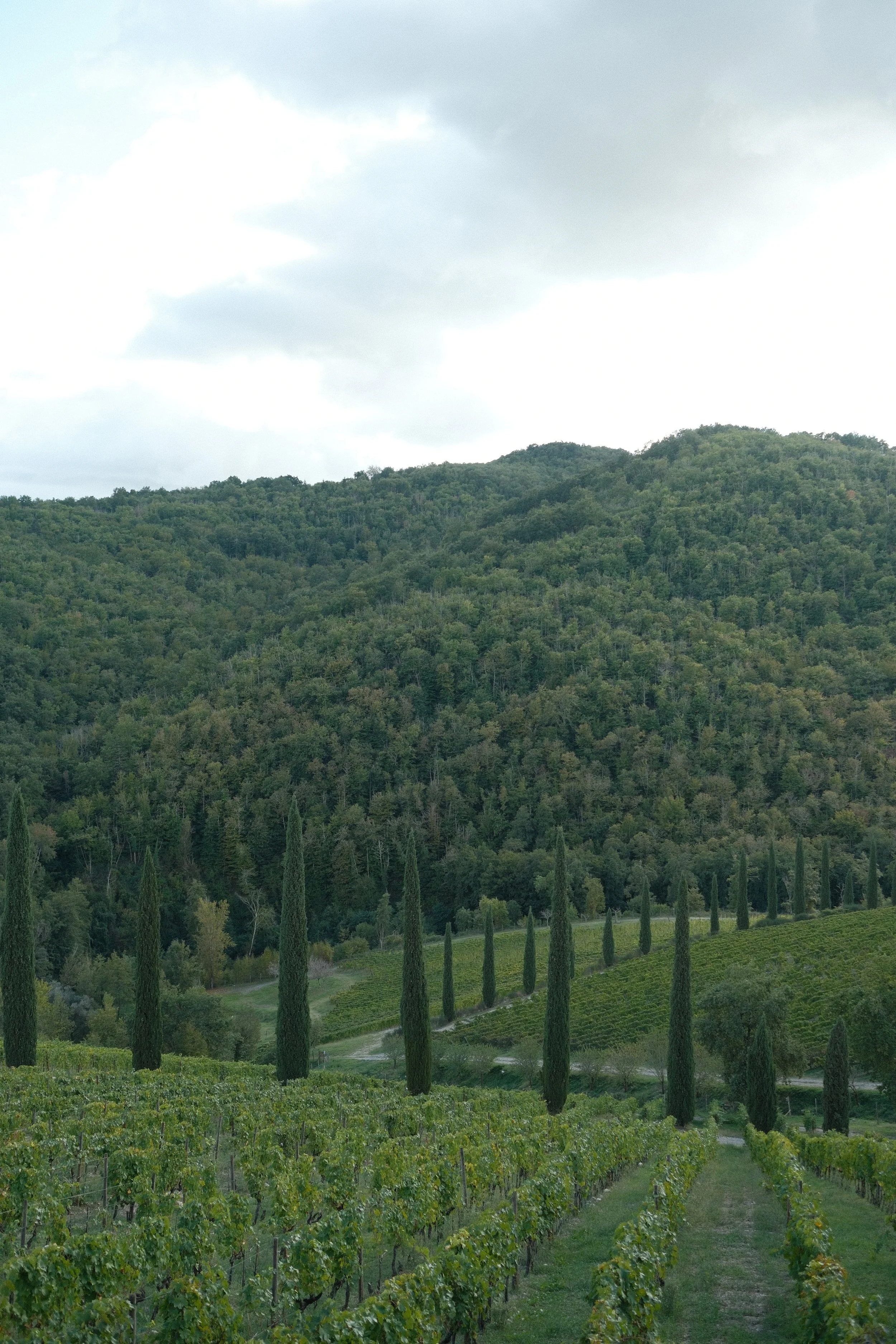 DSCF1933 2.JPG