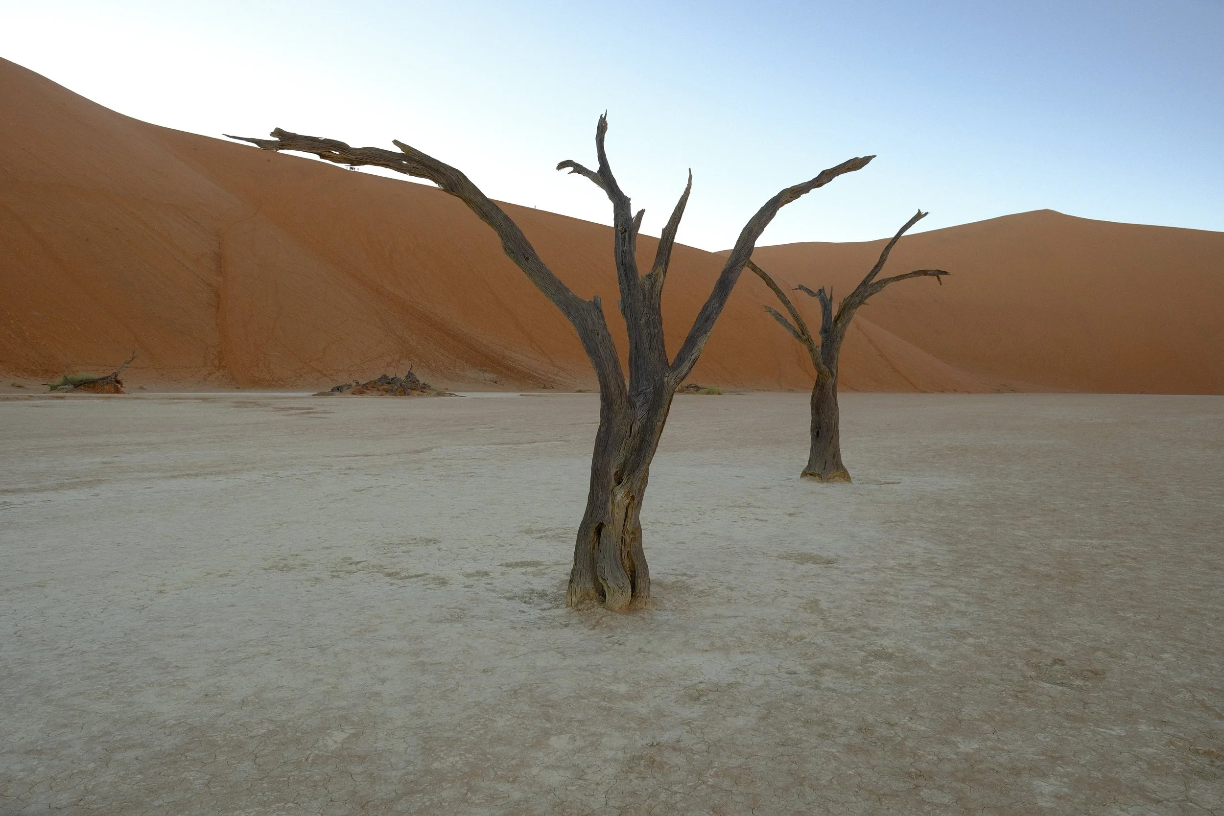 DSCF1555.jpg