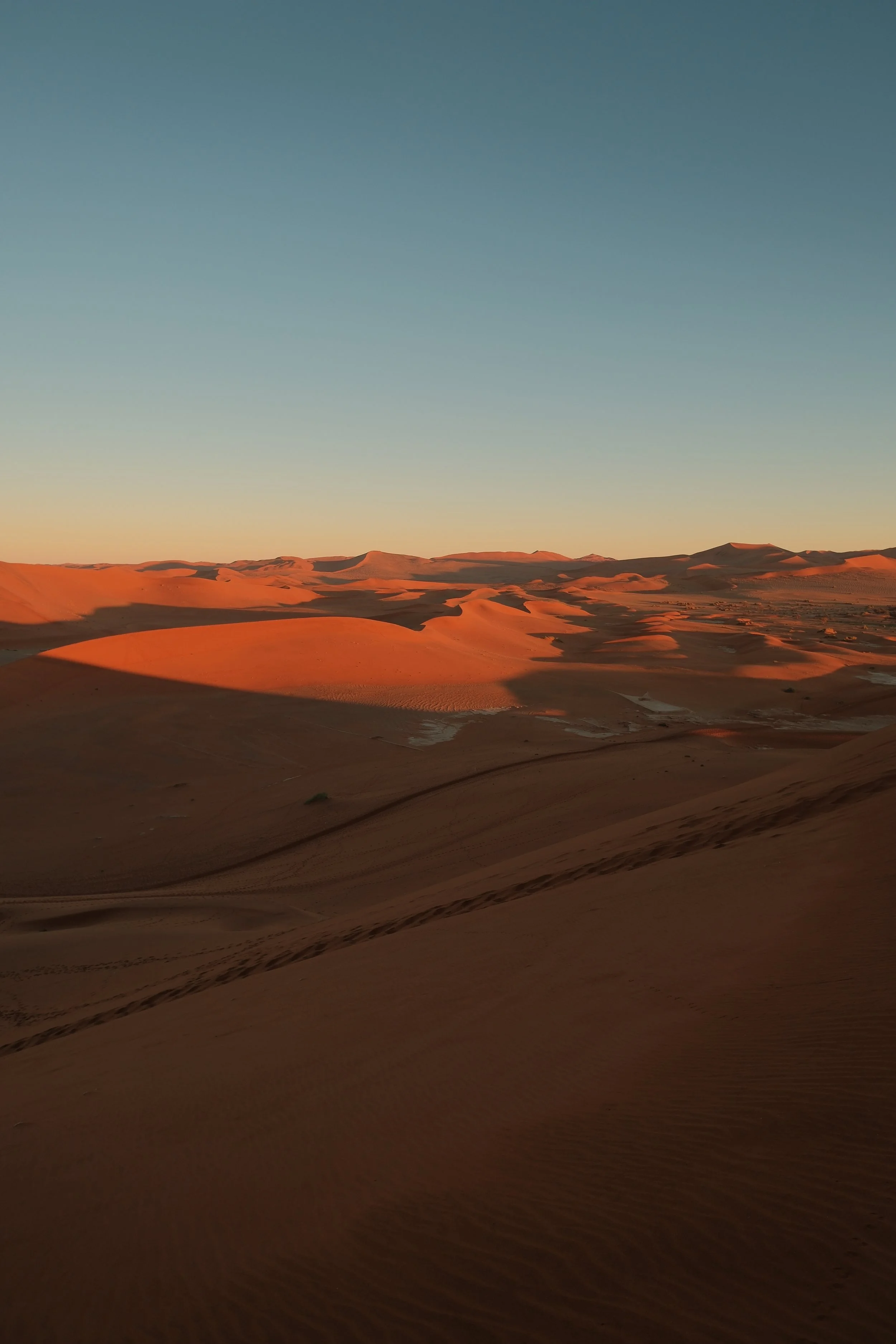 DSCF1539 2.JPG
