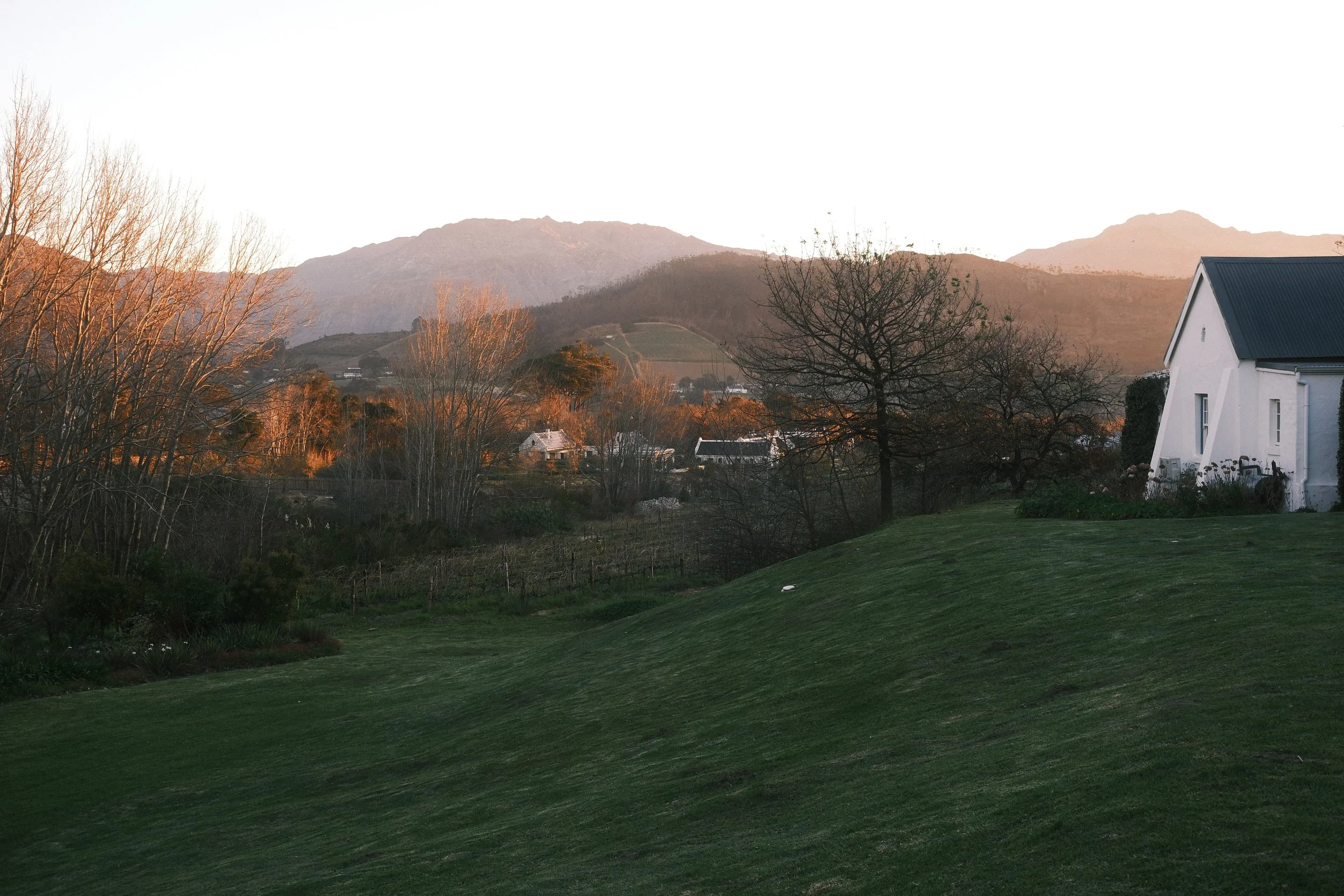 DSCF1729.jpg