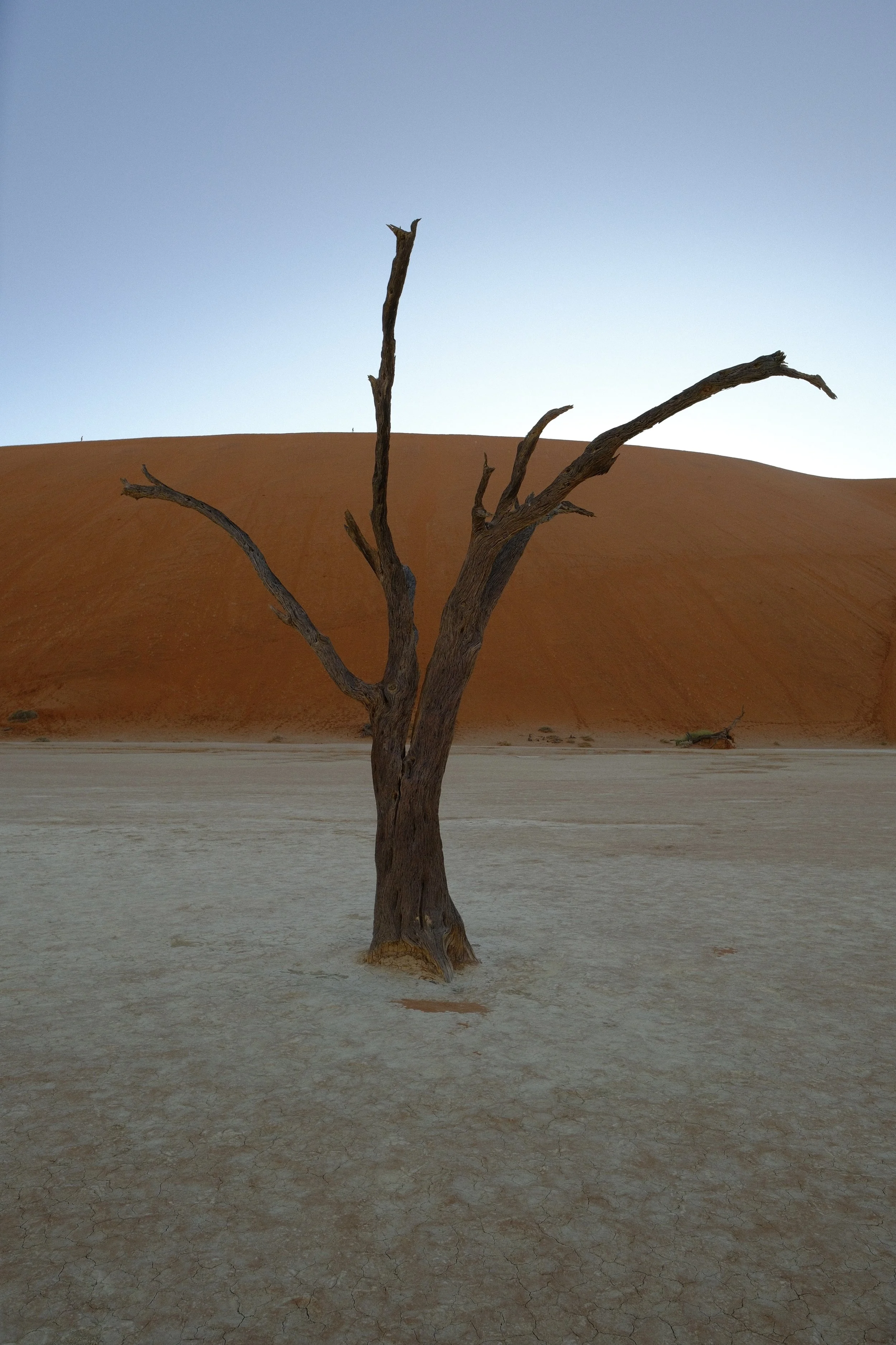 DSCF1565.jpg