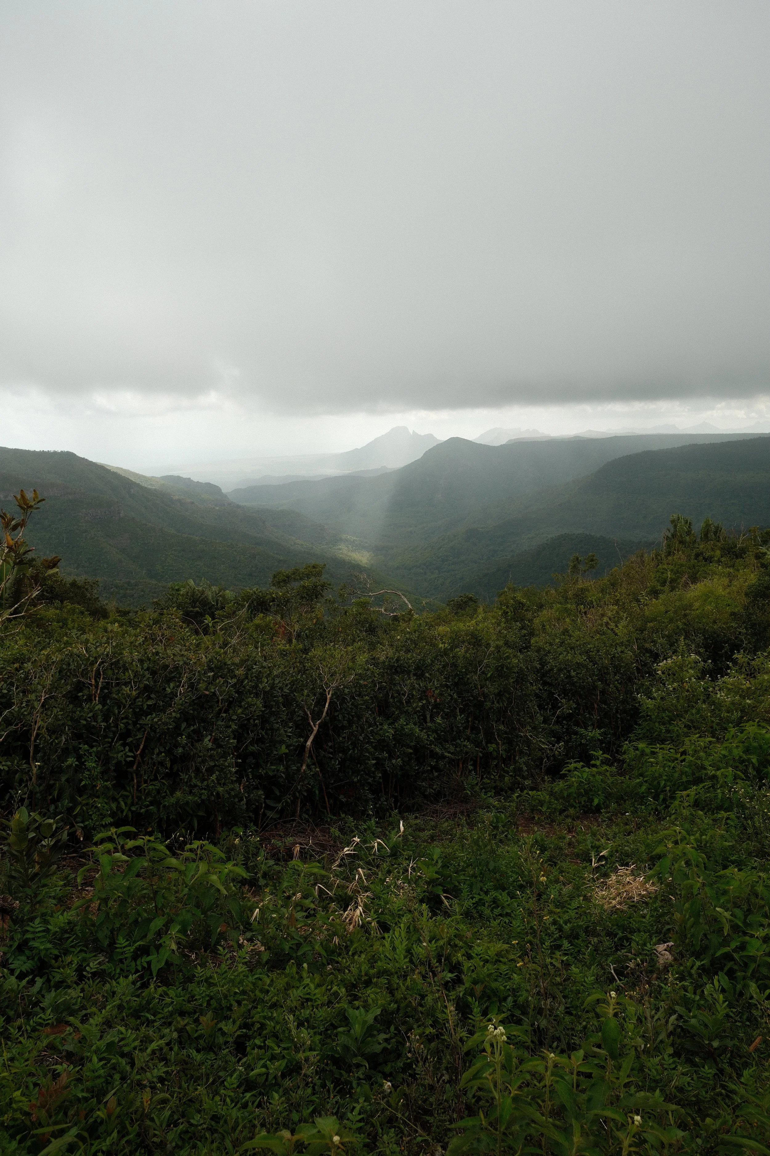 DSCF0991.JPG