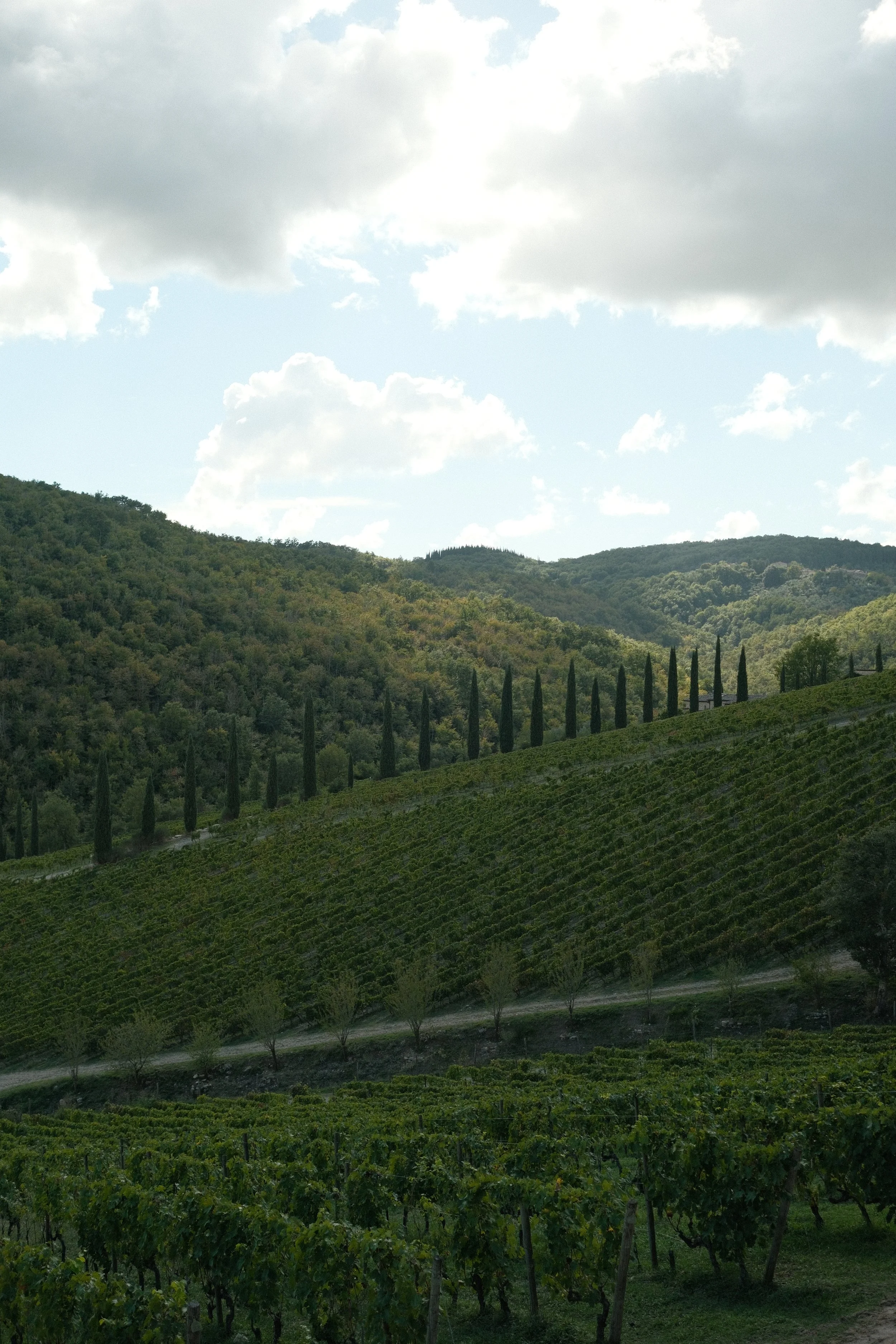 DSCF1930 2.JPG
