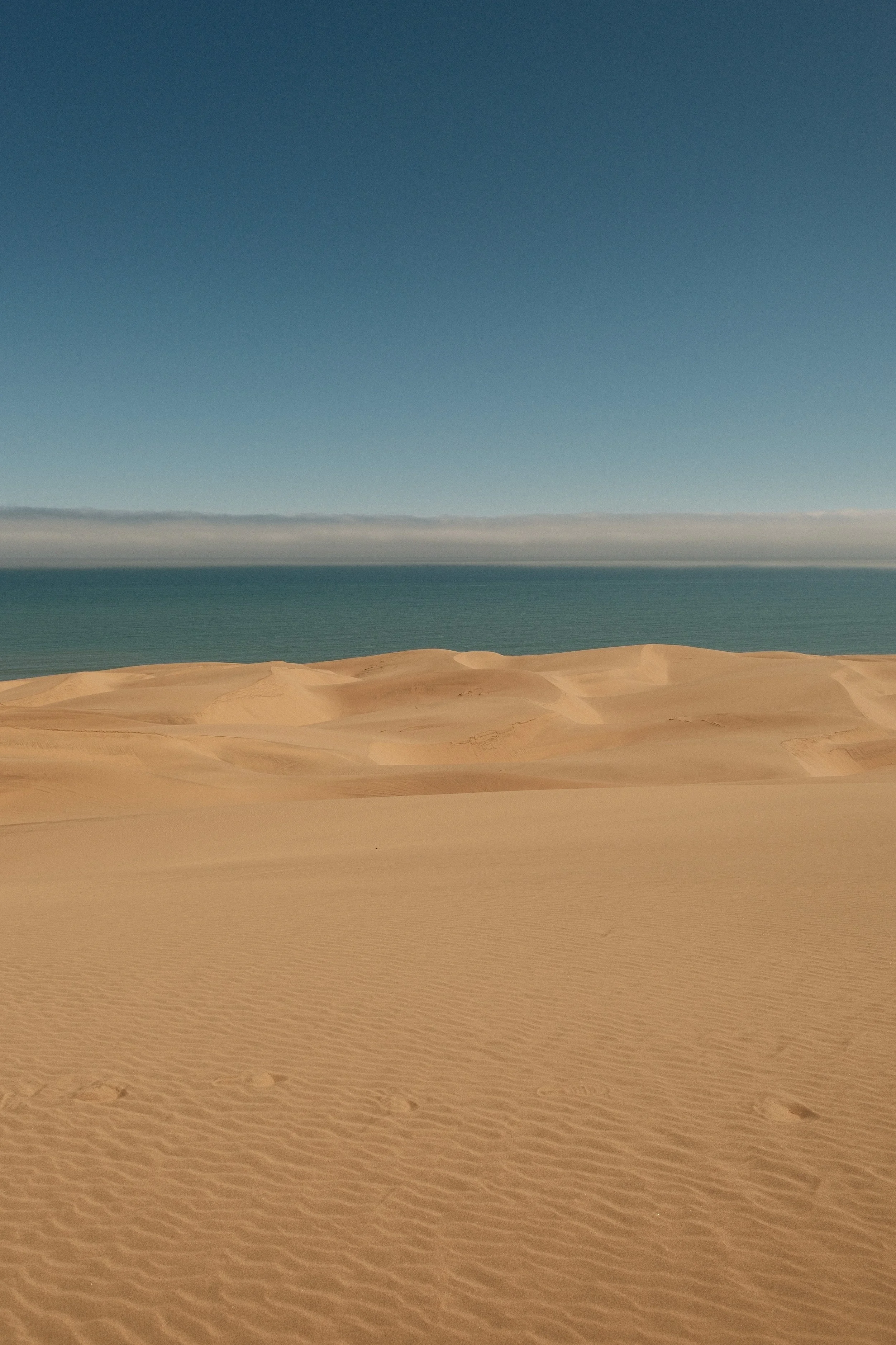 DSCF1614 2.jpg