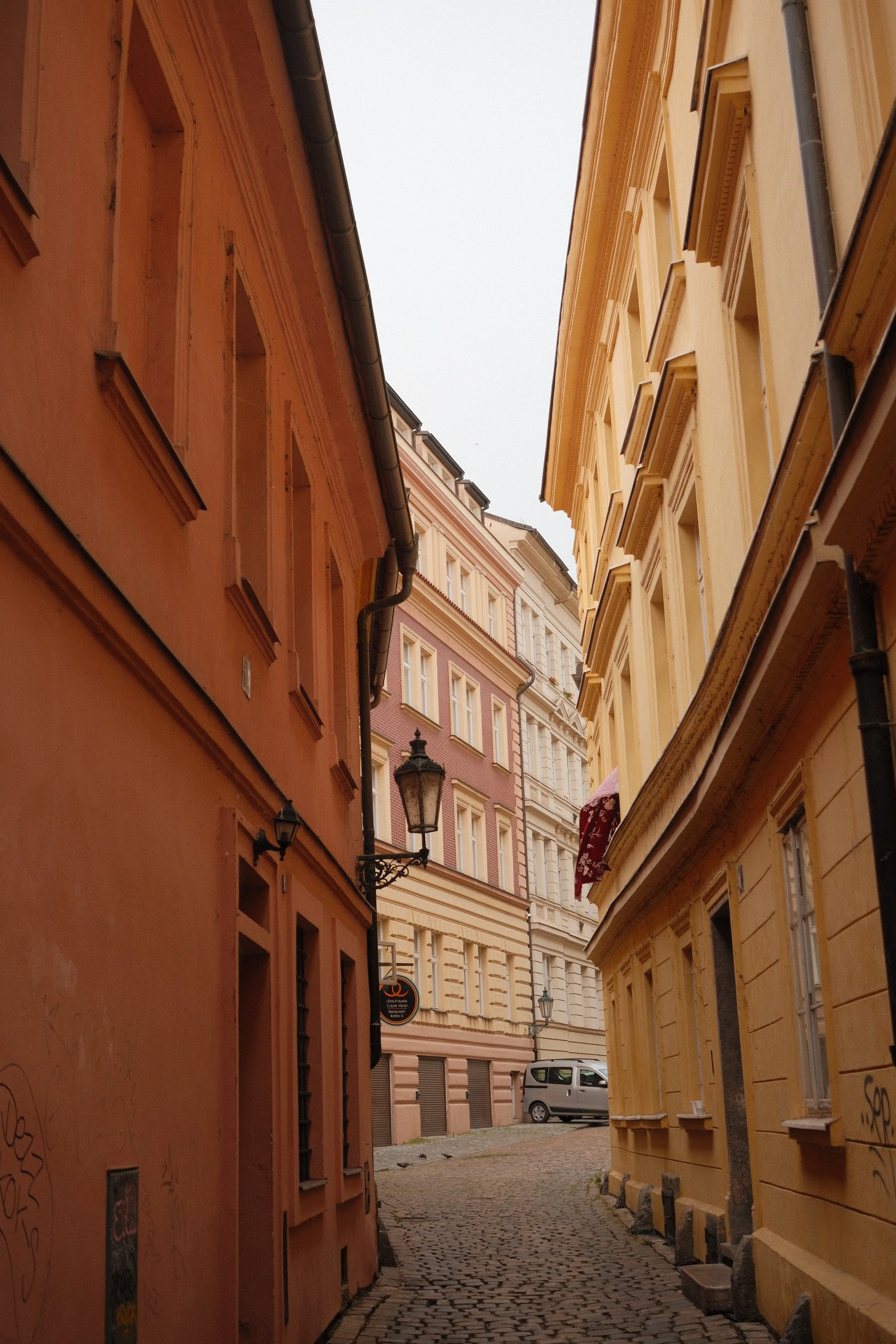 DSCF0323.JPG