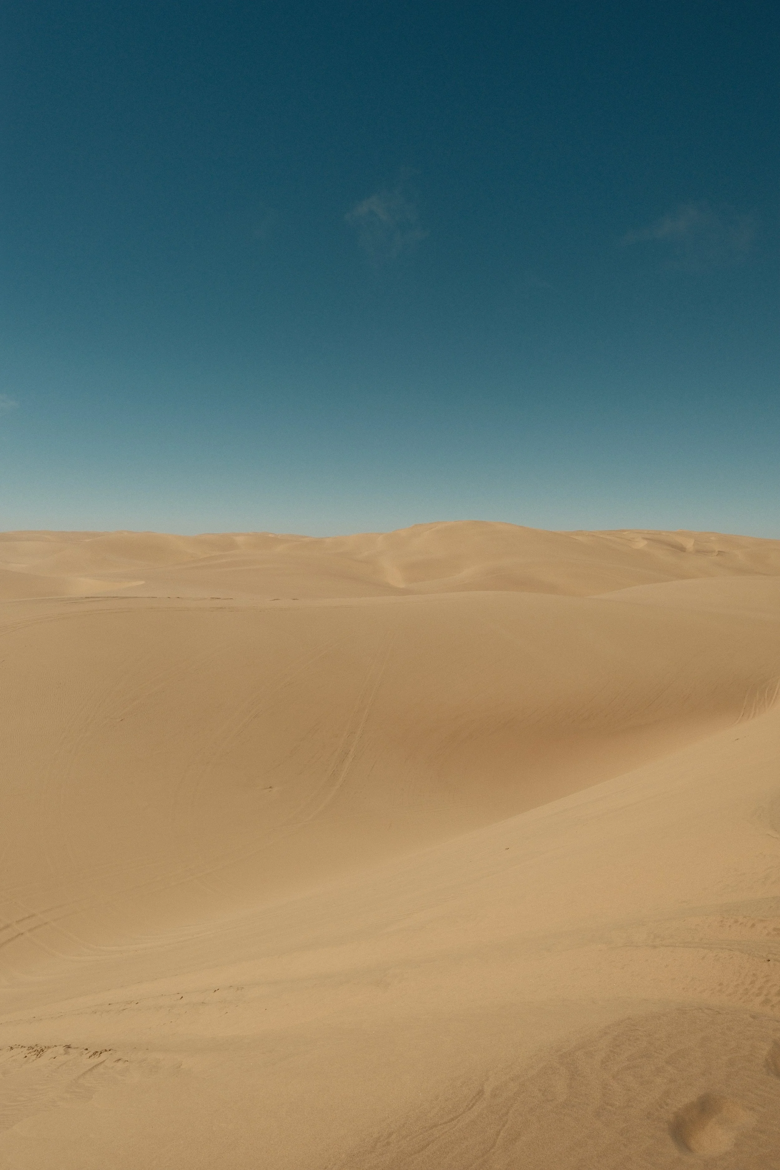 DSCF1617.JPG