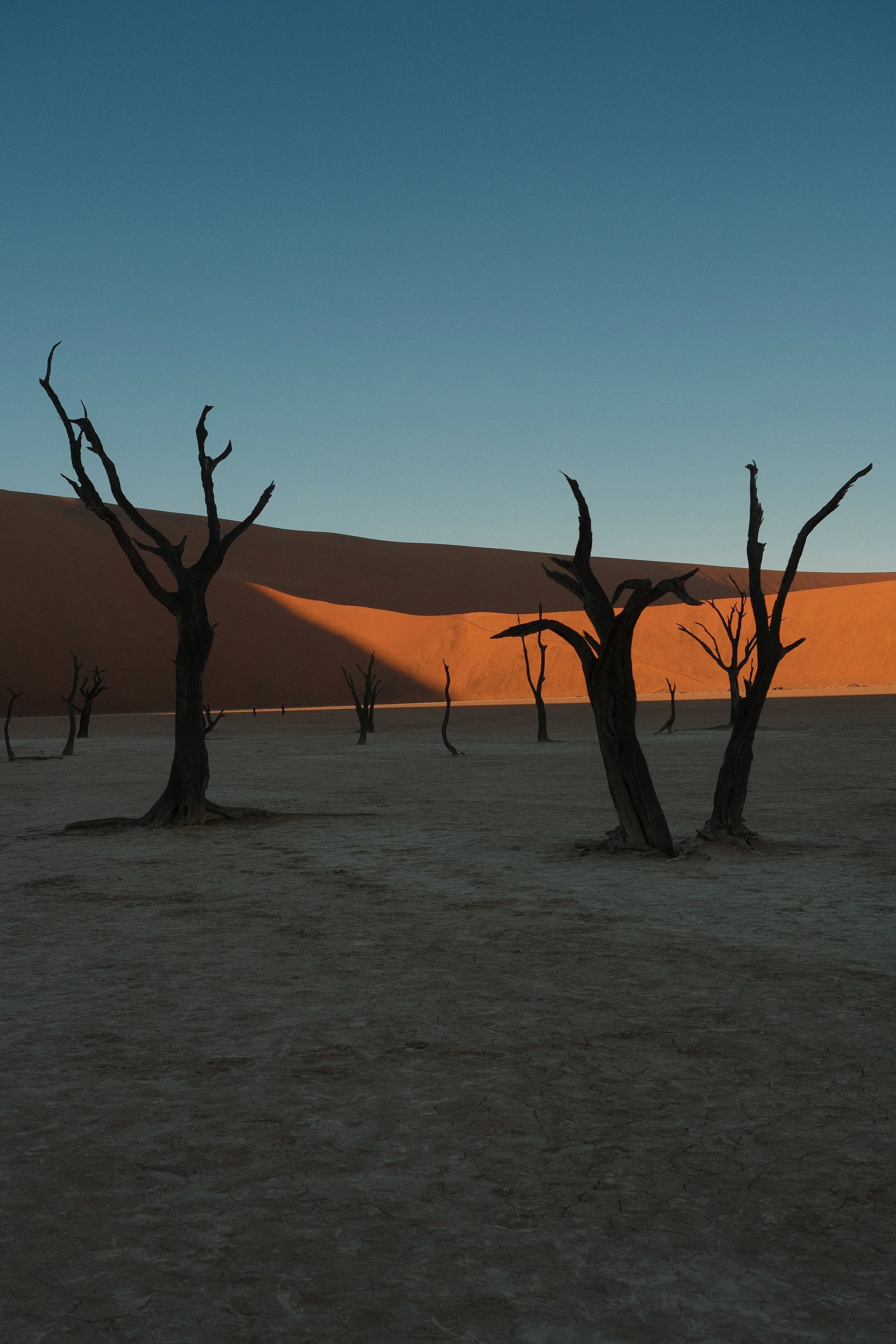 DSCF1579.JPG
