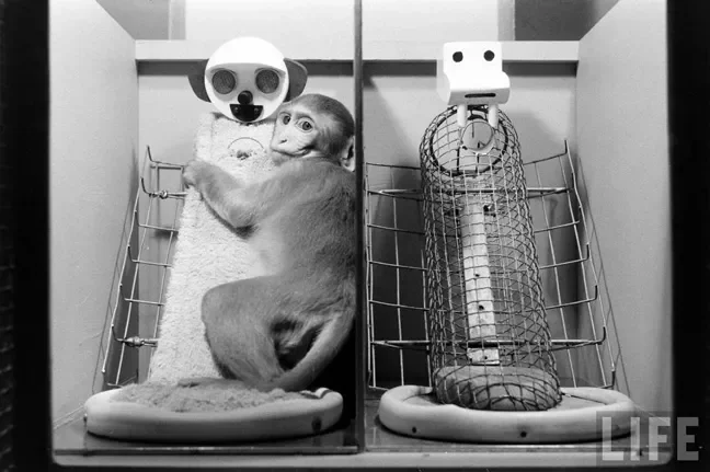 The monkeys spent more time with the cloth mother compared to the wire mother, regardless of which one dispensed milk.  The infant would only go to the wire mother when hungry.