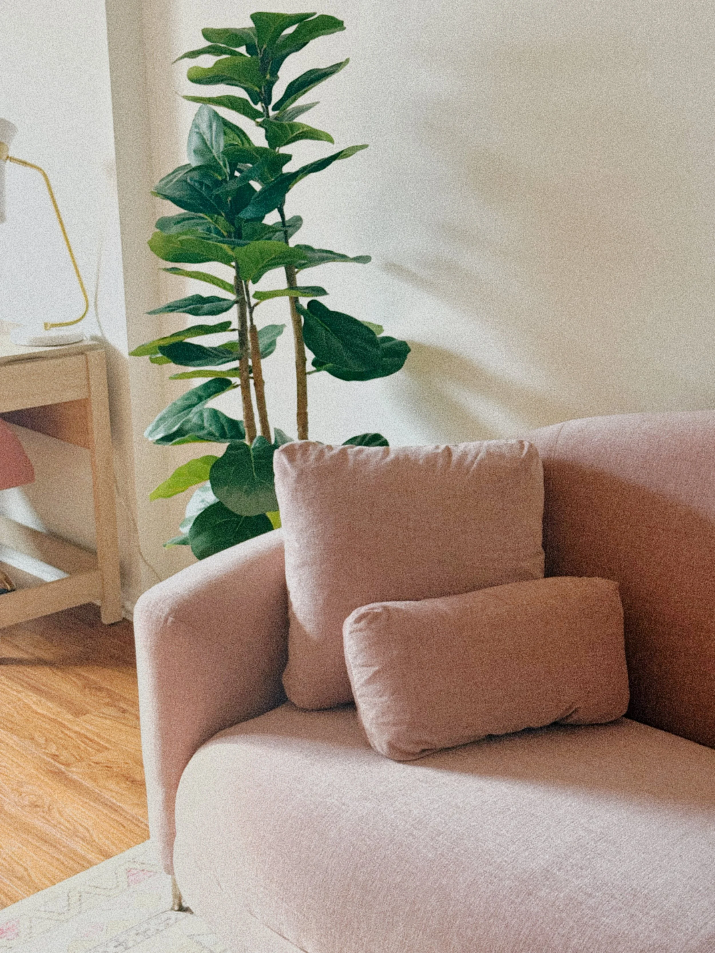 Dr. VanBeck office area with sofa