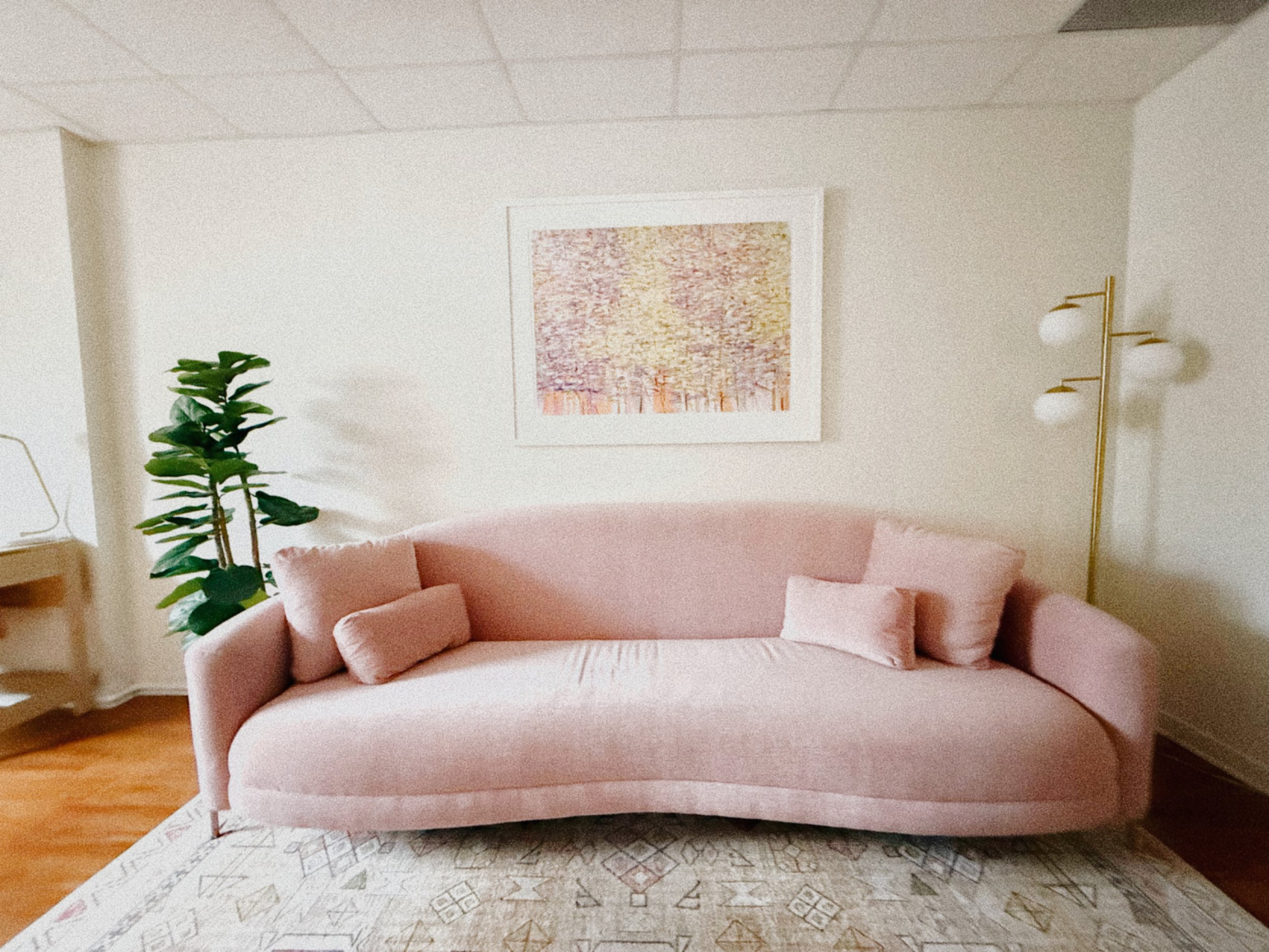 Dr. VanBeck office space w/ sofa and plant