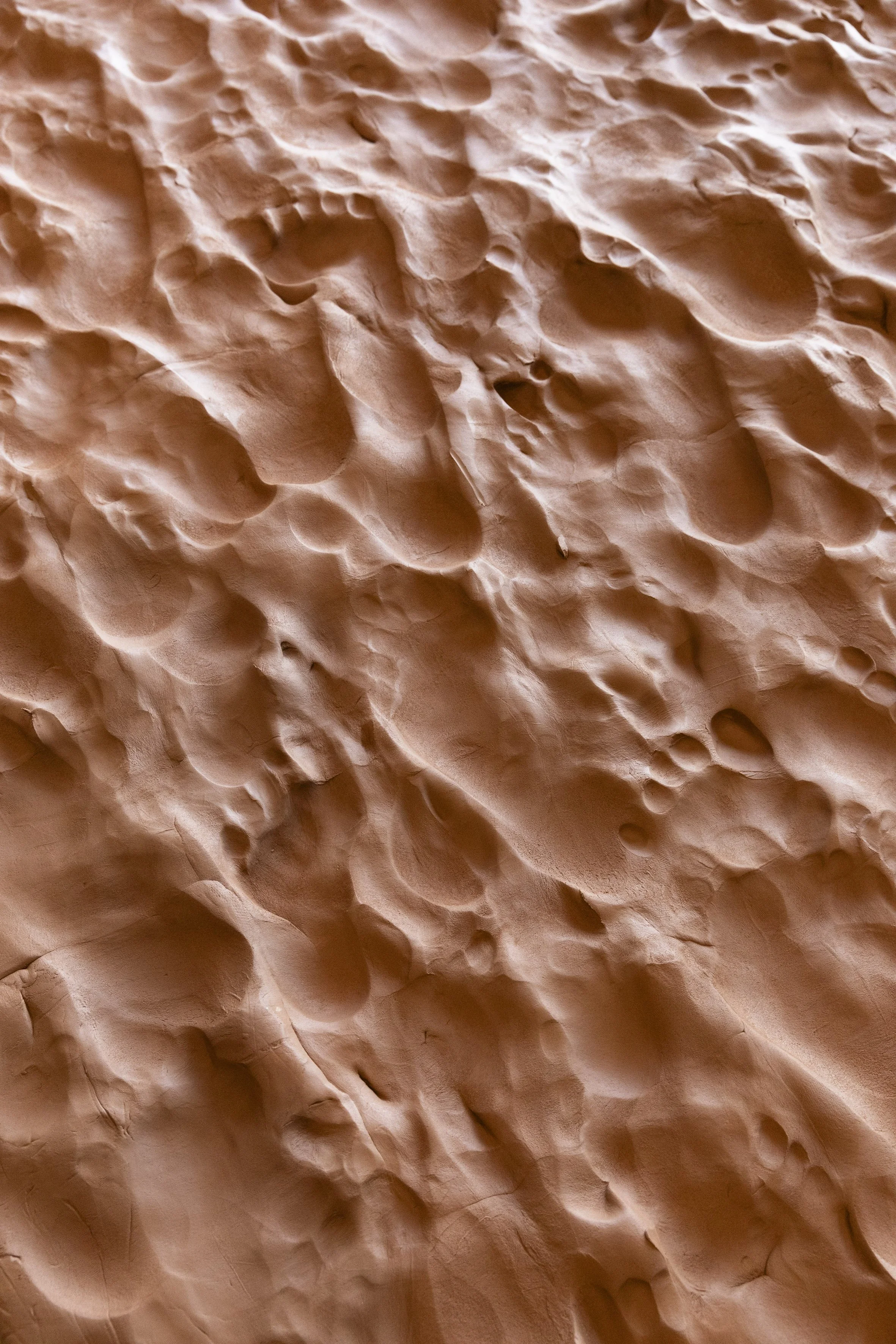 Silversalt Photography