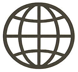 A black globe icon with latitude and longitude lines.