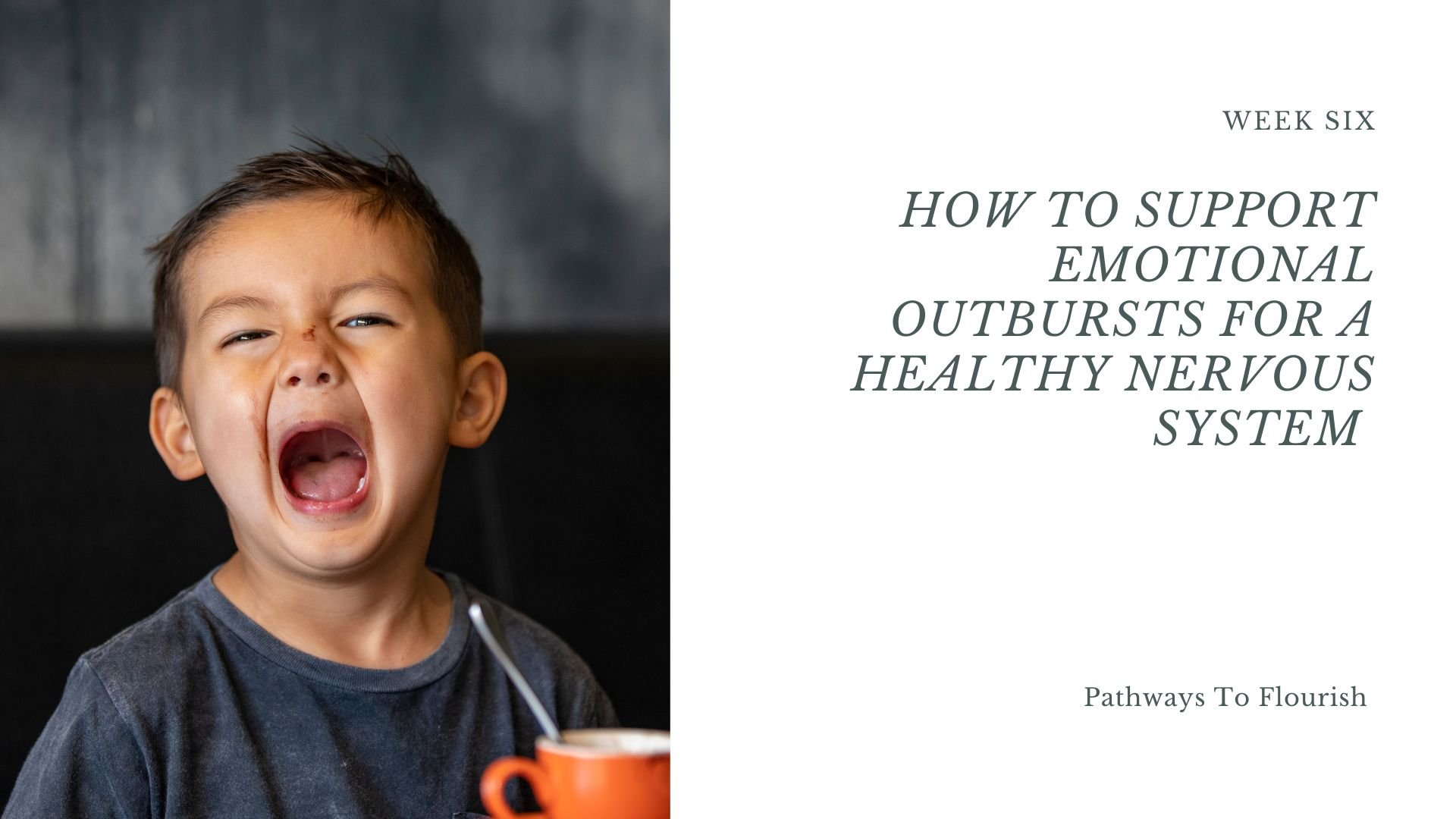 Week 6 of the Pathways to Flourish parenting course – understanding big feelings and supporting children's emotional outbursts.