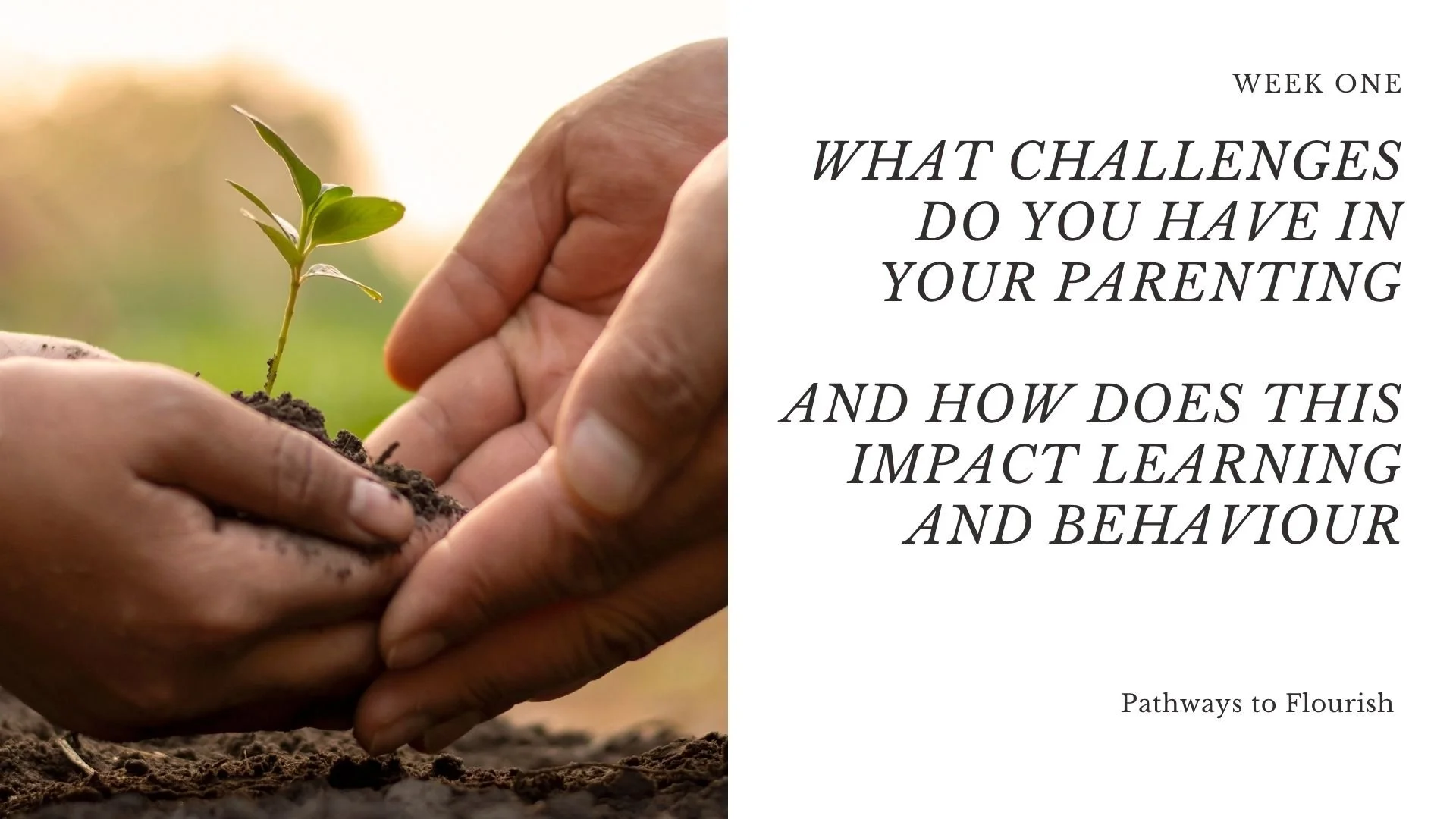 Week 1 of the Pathways to Flourish six-week parenting course – understanding your family and the challenges you are experiencing