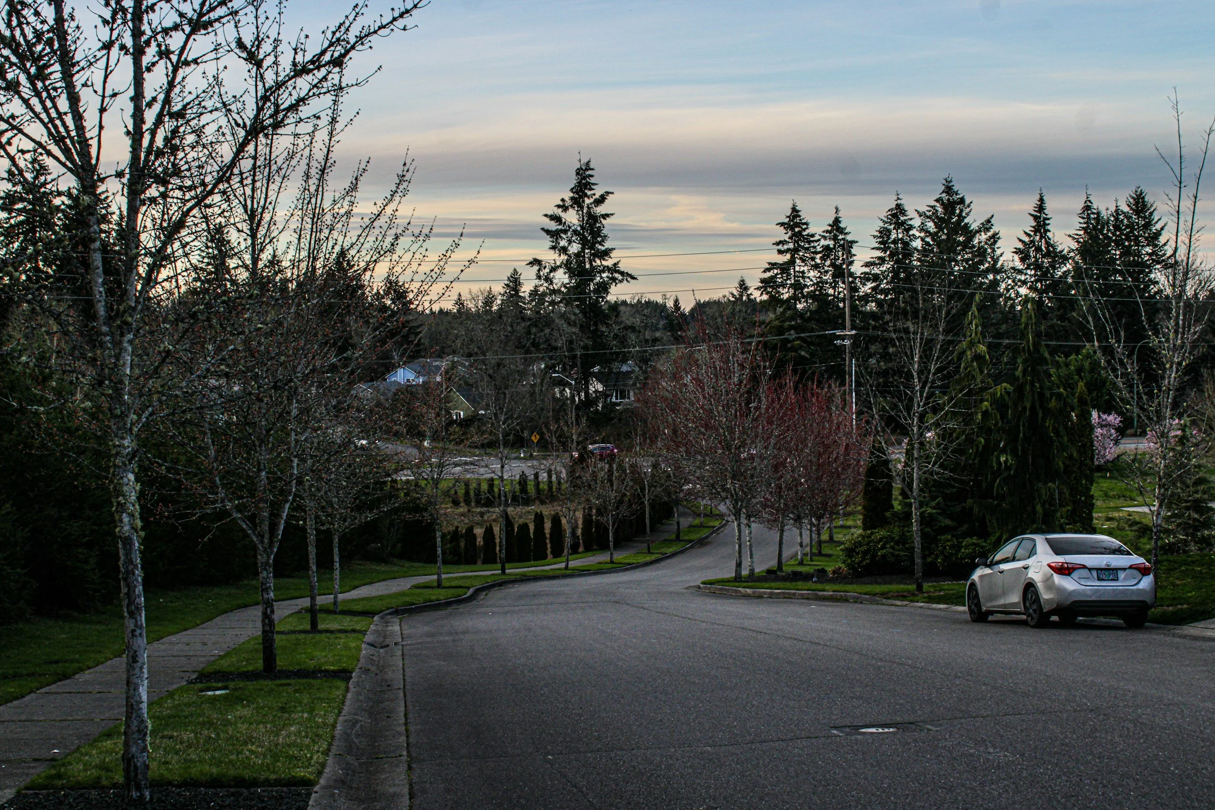 Surrounding the City: What makes Portland suburbs unique and how to choose the best neighborhood for you