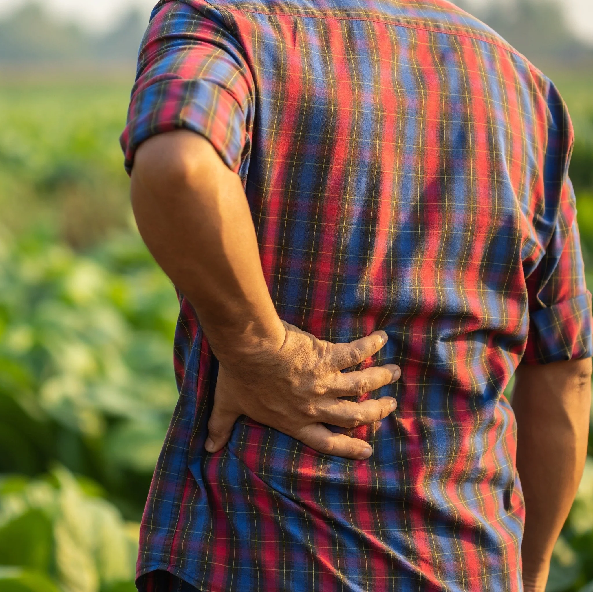 Long hours on a tractor? Rock-picking? Lifting things heavier than they should because it "gets the job done"? If you've been stuck listening to someone complaining about their (self) work-inflicted aches and pains, shoot us a message and w