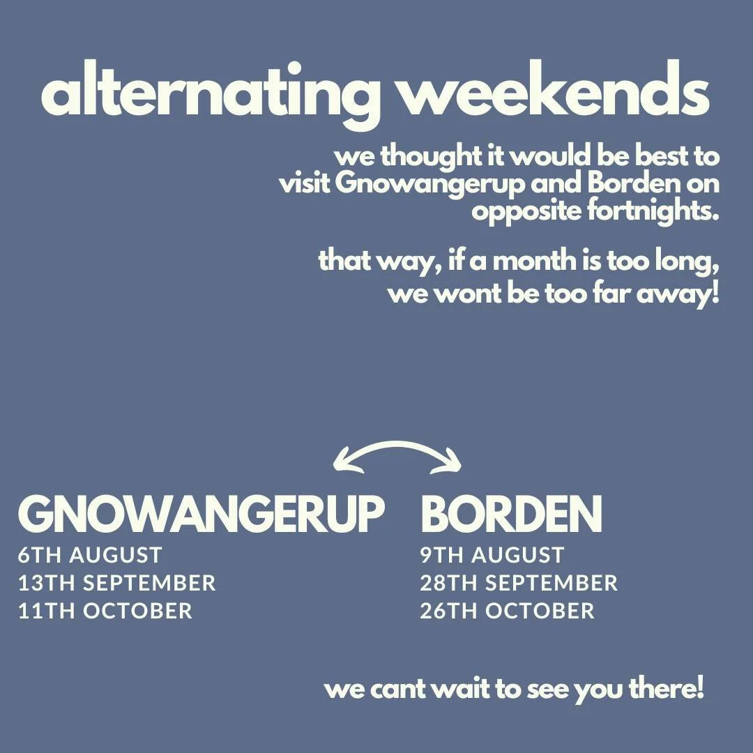 And by "we" we mean some very friendly locals pointing out the obvious idea 😅. Now instead of waiting a whole month before we are in town, you can find us 30ks down the road! Reach out if you are after an appointment!