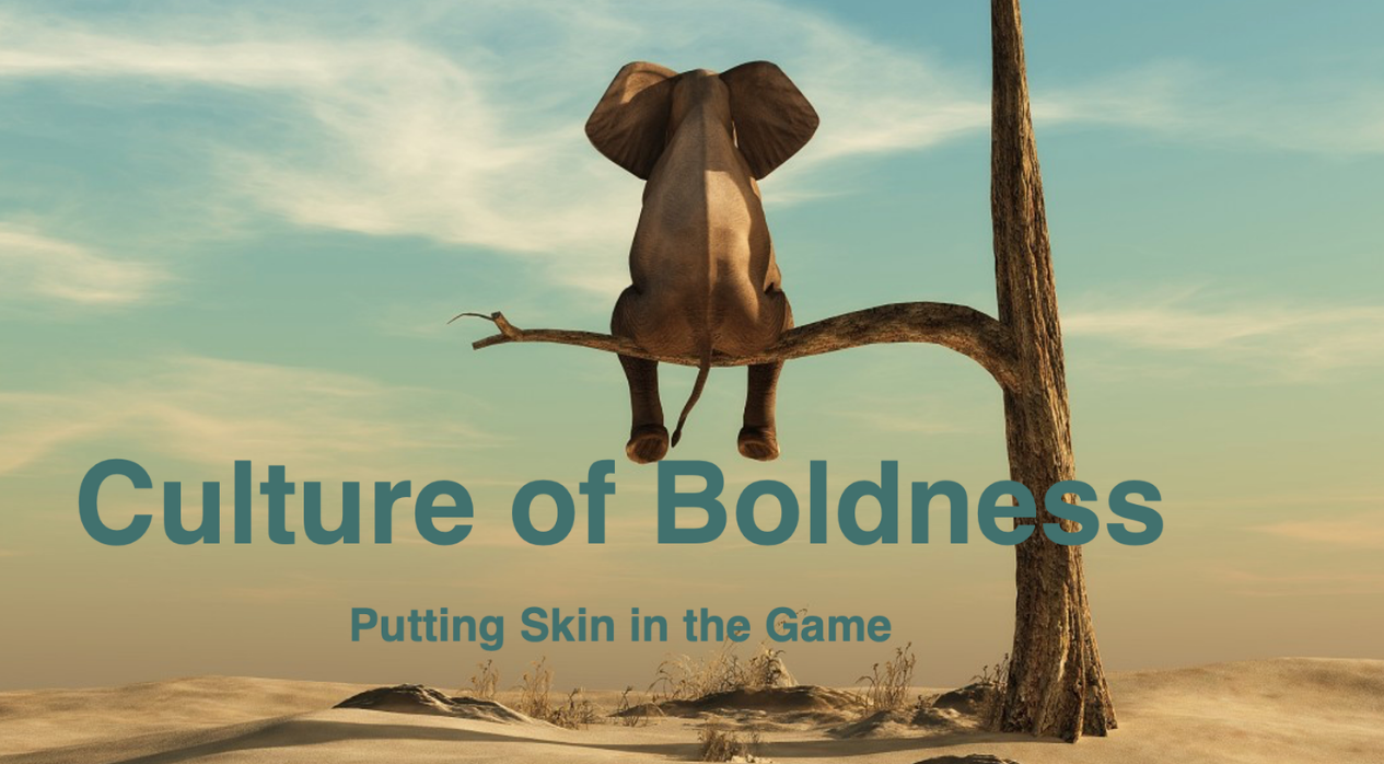 The Culture of Boldness or How Putting Skin in the Game Builds Cultures That Perform Better cover
