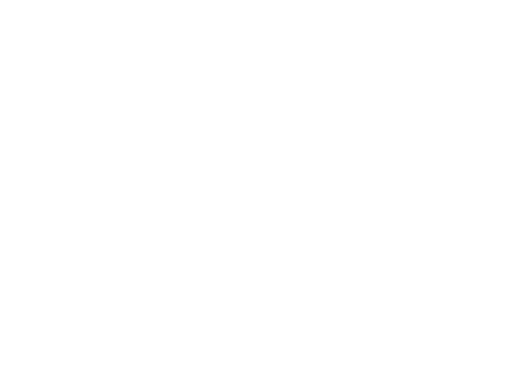 True North logo