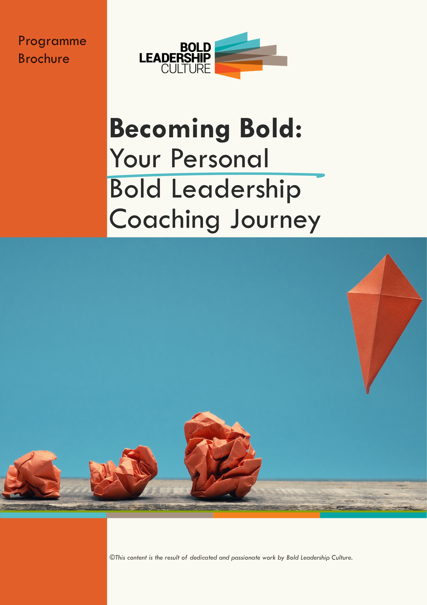 Cover of Becoming Bold: Your Personal Bold Leadership Coaching Journey programme