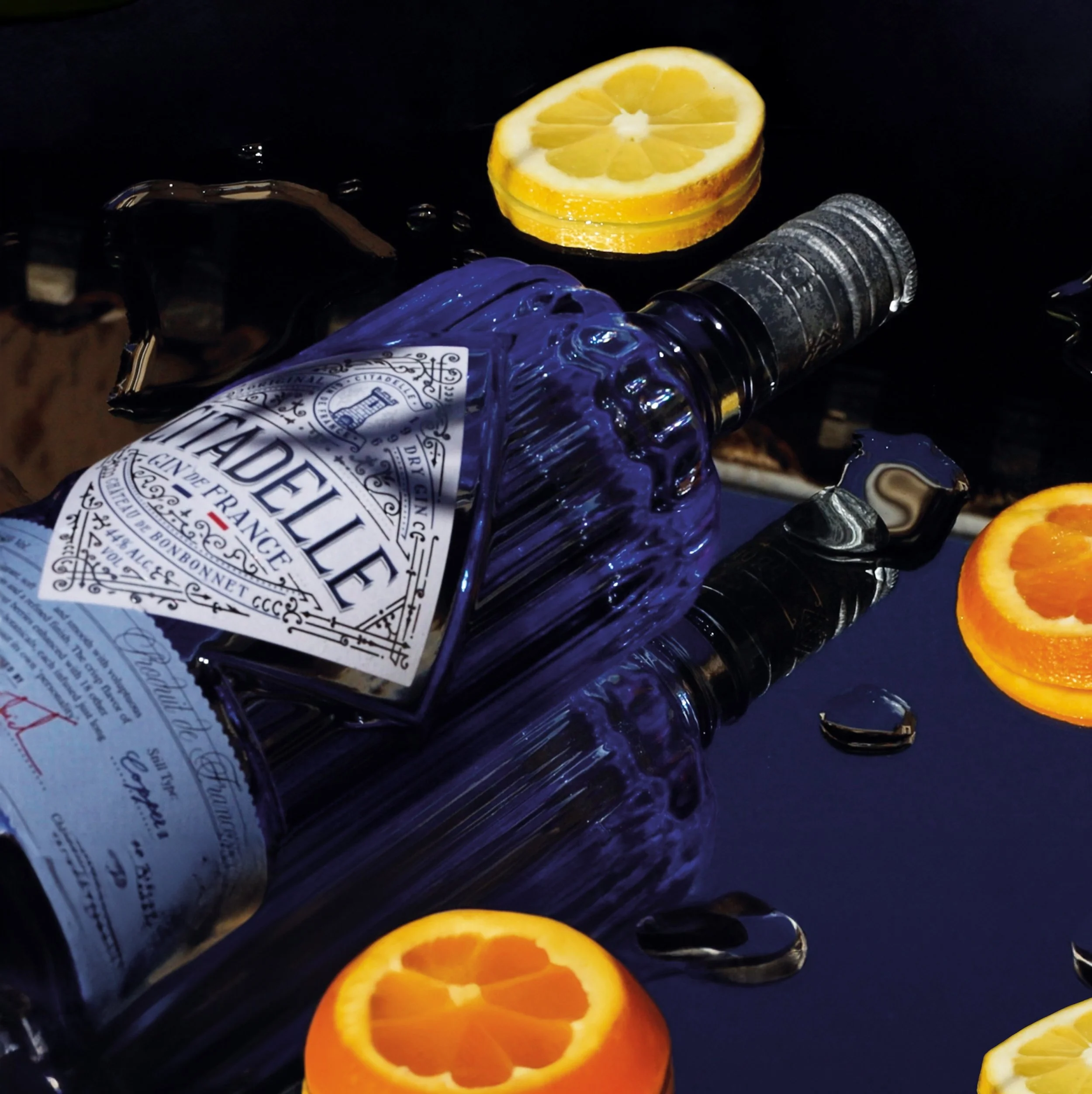 AFFICHE_CITADELLE 2 copie.JPG