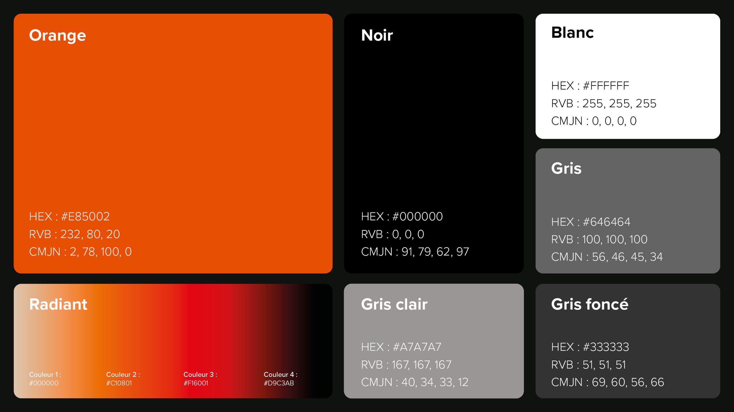 IMAGE SITE BRAND BOOK HOTSA 7.jpg