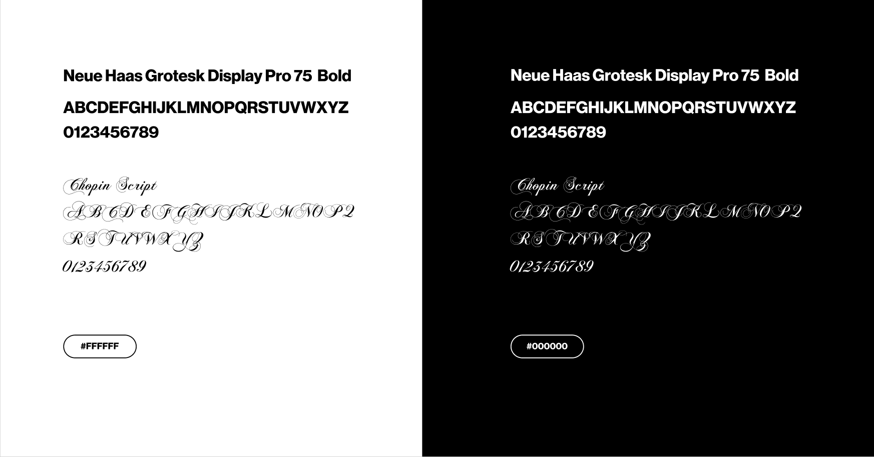 Capture d’écran 2024-09-03 à 18.00.30.png