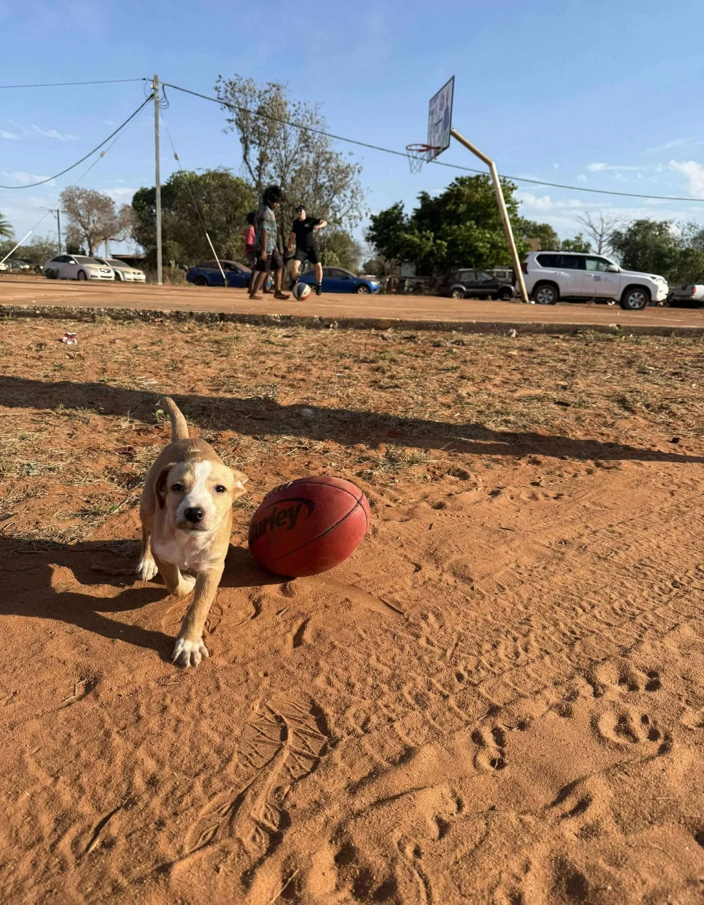 2025 in review ⭐️ Our Equip for Sport had its best year yet with over 16,500 pieces of usable sports equipment coming through the doors of Fair Game HQ, and nearly 17,000 items heading out to those in need 🤩 Over the year we were able to provide ove