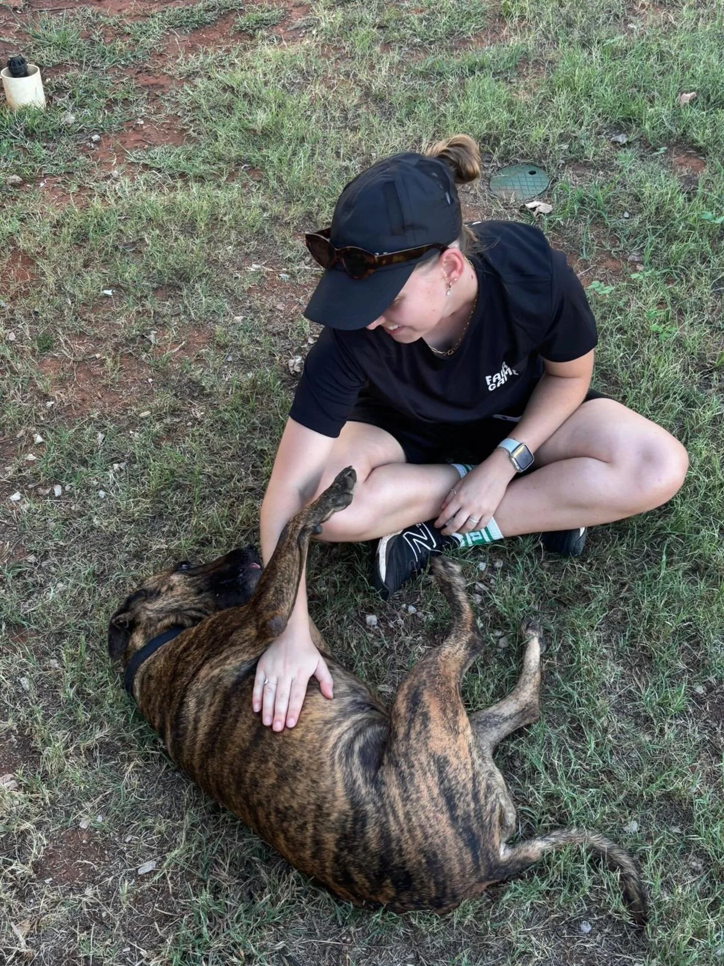 Hanging with a mate between Fair Game sessions 🐶 | 📍Nyikina