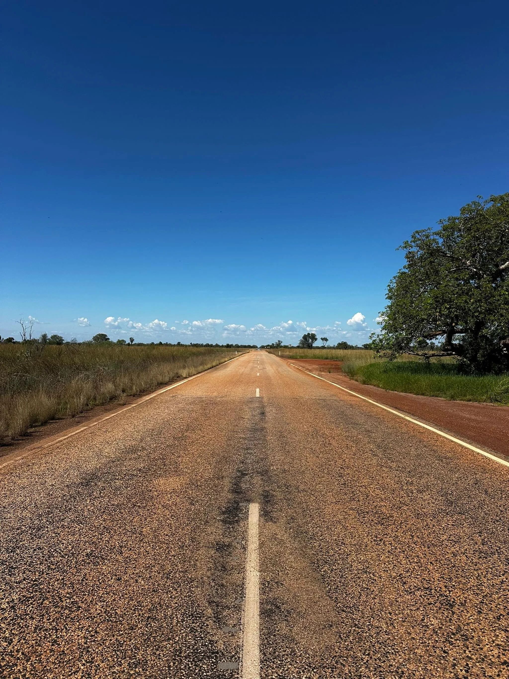 On the road again 🚗 June is set to be a HUGE month of travel for our team, with trips planned for the Pilbara and Kimberley visiting Warralong, Strelley, Yandeyarra, Looma, Bidyadanga, Roebourne, Wickham and Karratha! 😮&zwj;💨 Stay tuned for all of
