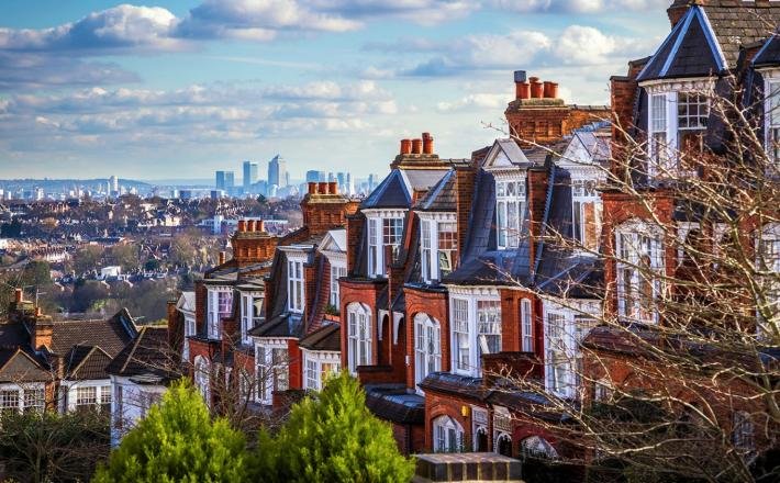 Canvassing: Muswell Hill